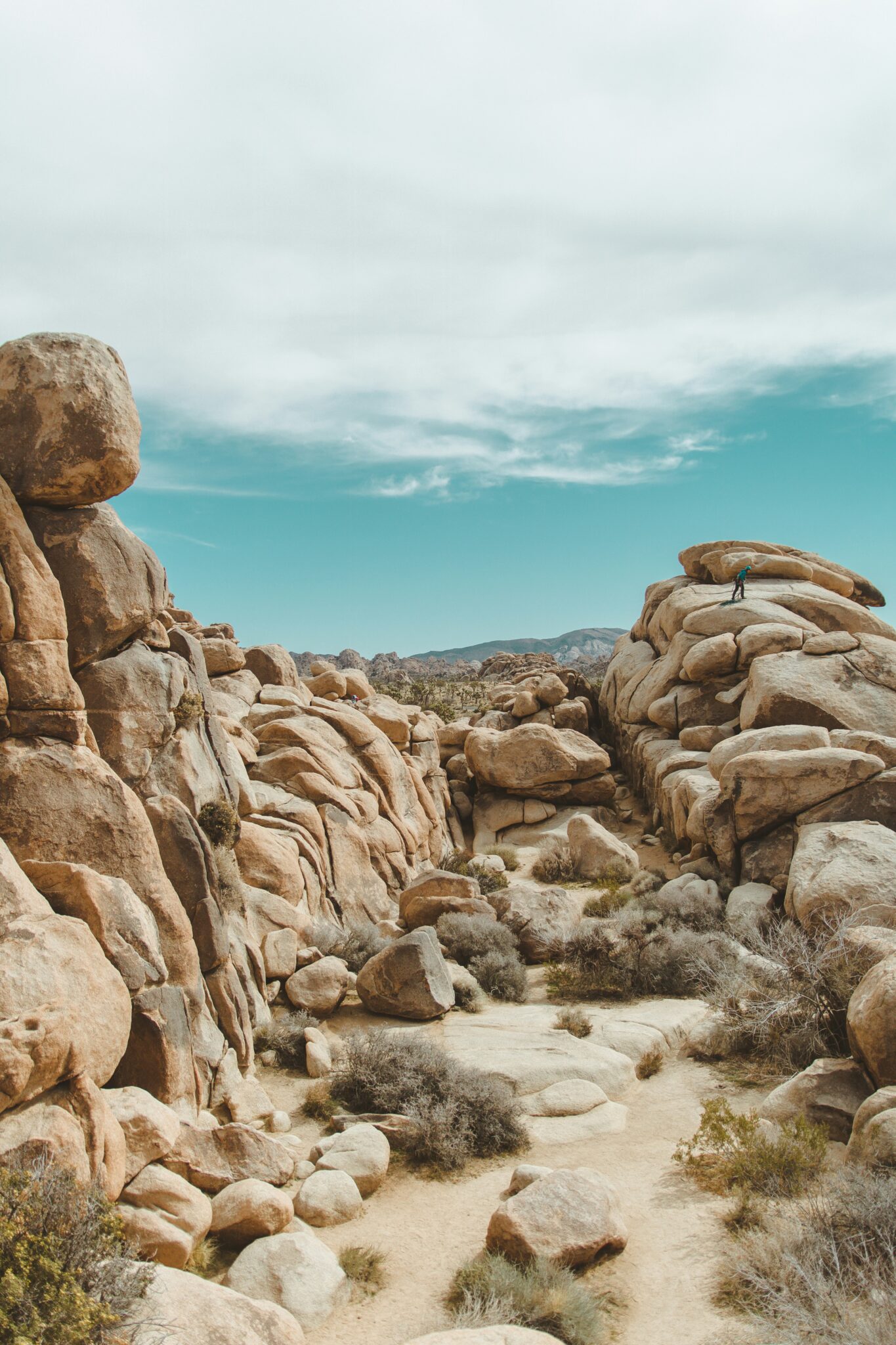 Southern California National Parks: A Guide To Sun-Soaked Adventures ...