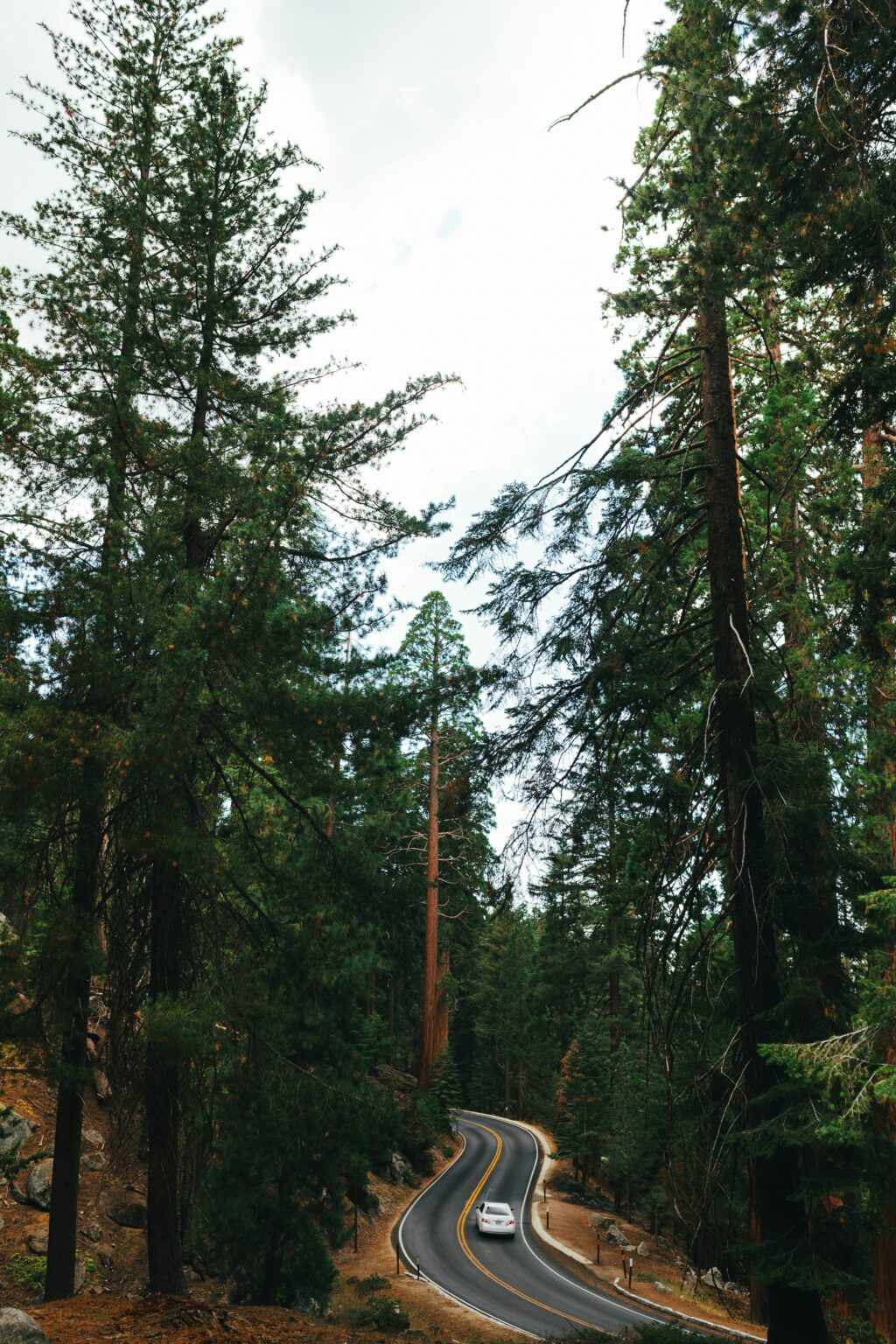 Three Rivers California: Gateway To Sequoia National Park - California ...
