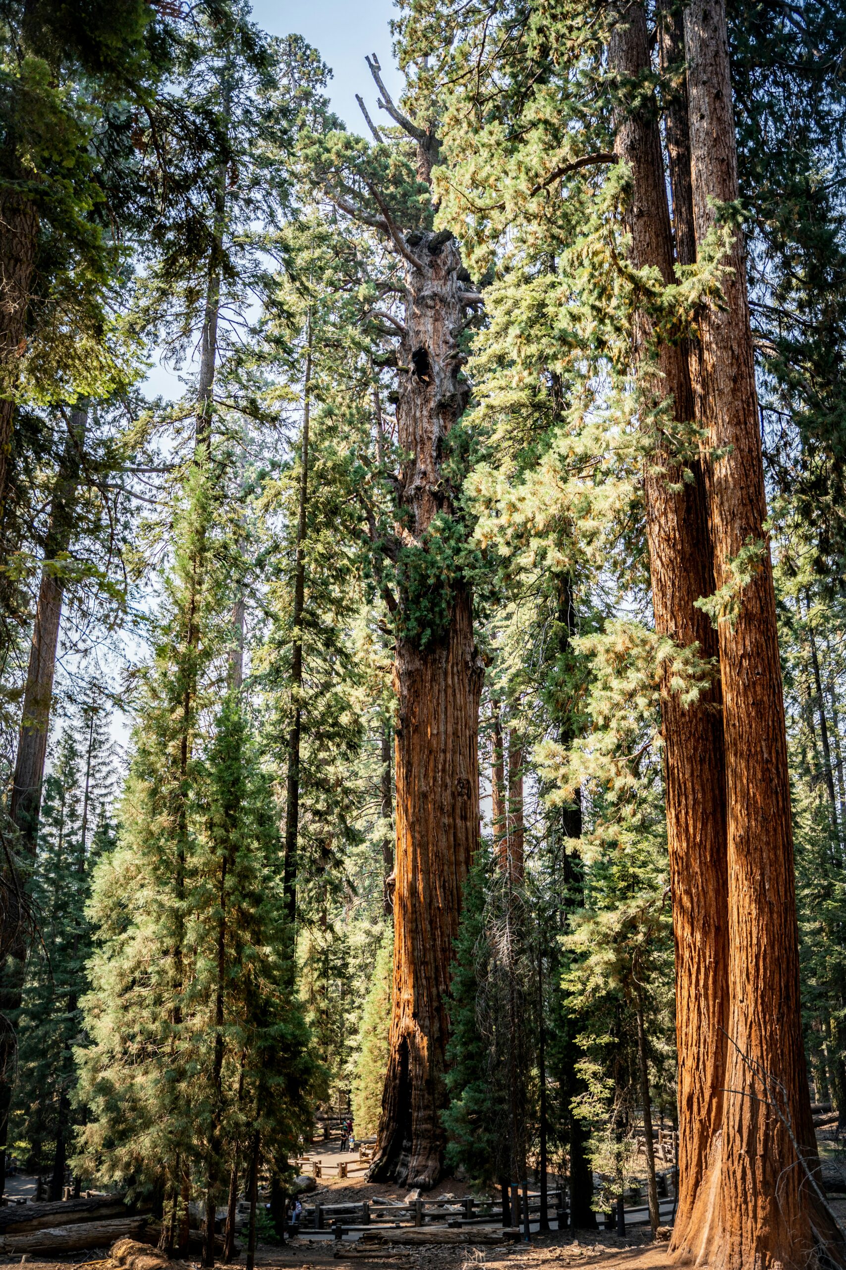 Best California National Parks: All 9 Parks + Visitor Guide