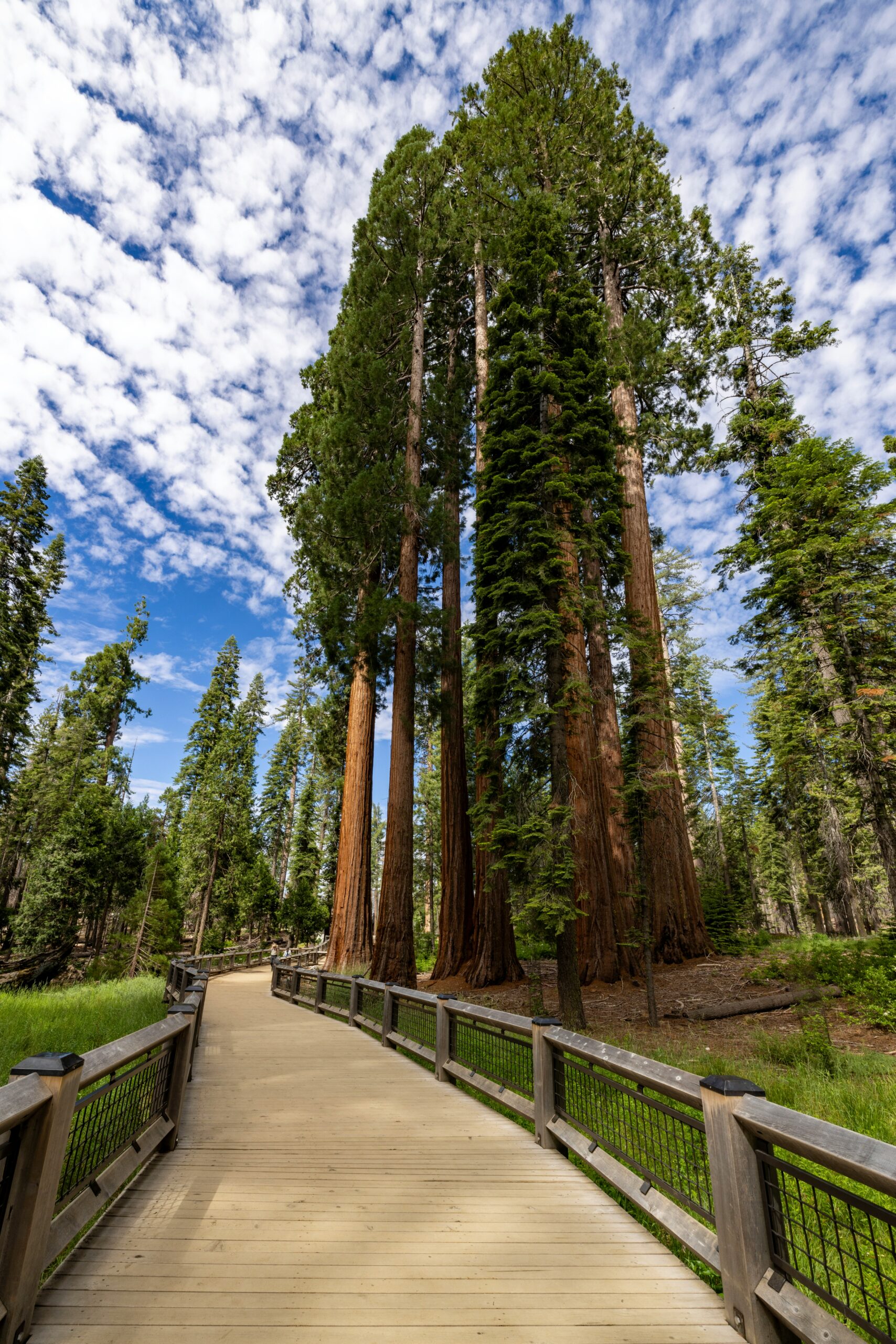 California Mountain Ranges: A Friendly Guide To Golden State Heights ...