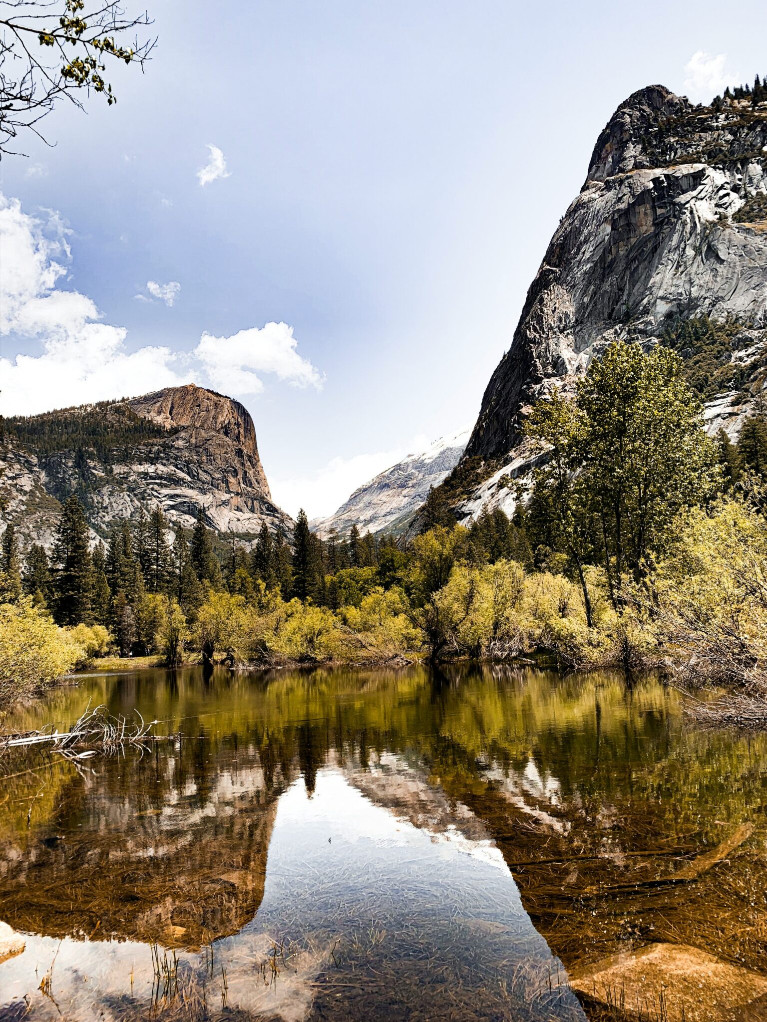 California Backroads: Explore Hidden Gems And Adventures
