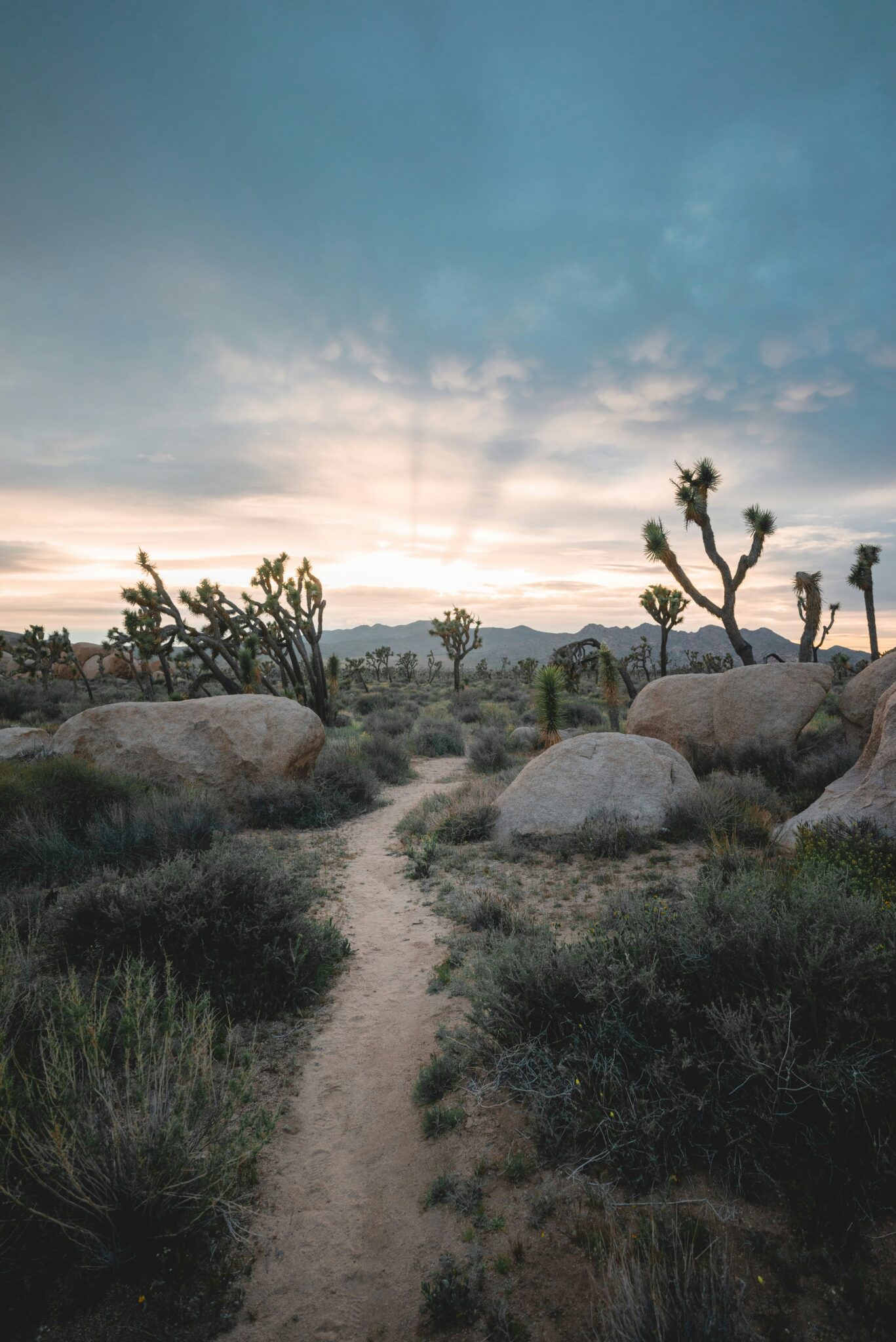 Top Destinations In California For Nature Lovers: 12 Must-Visit Parks ...