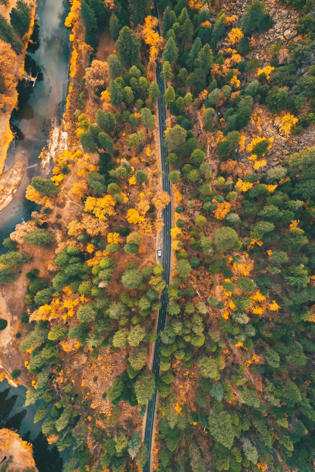 Best Fall Destinations In California: Top Autumn Road Trips & Getaways ...