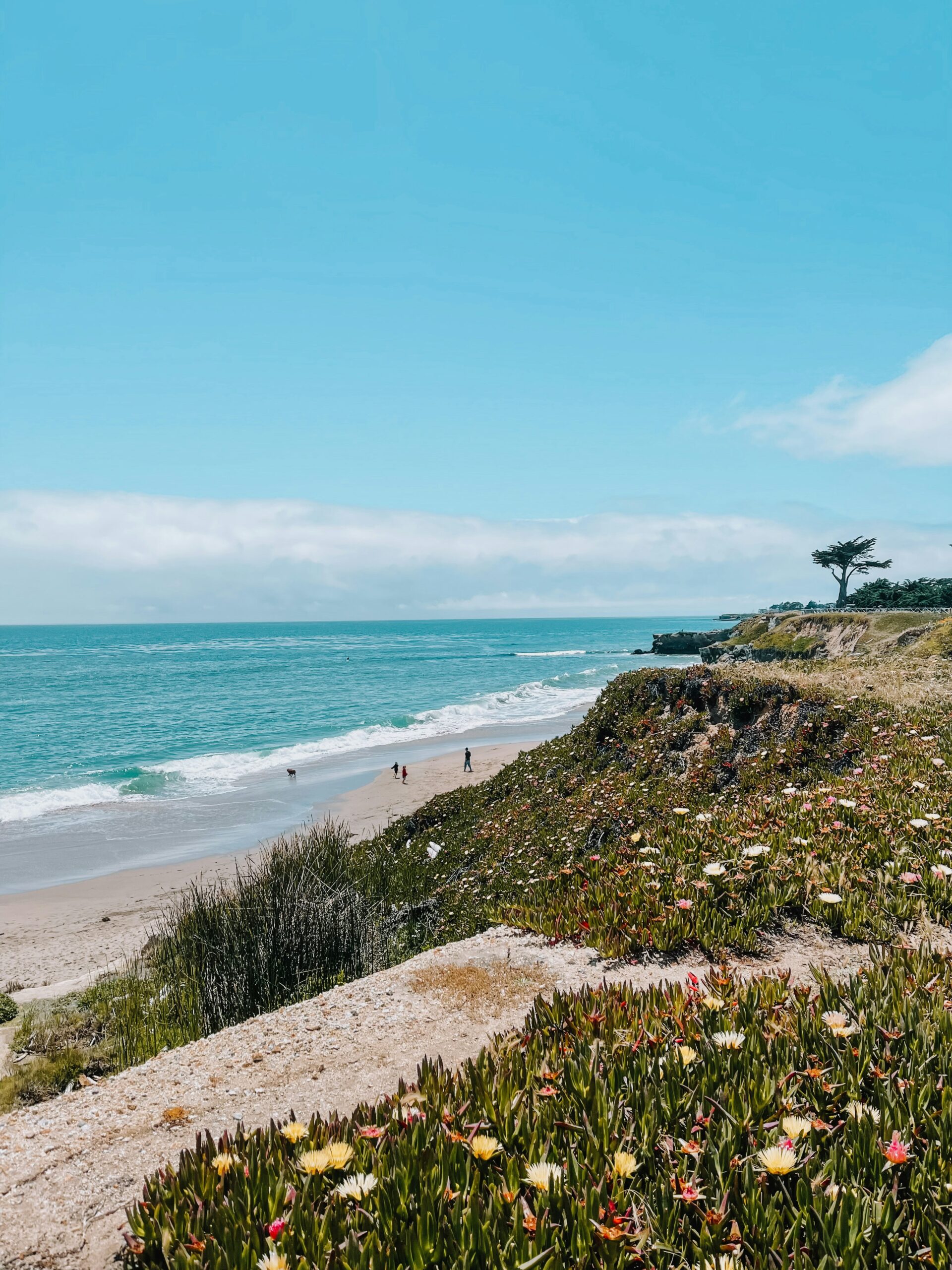 Walkable California Beach Towns Where You Can Skip The Car (And Save Big On Gas)