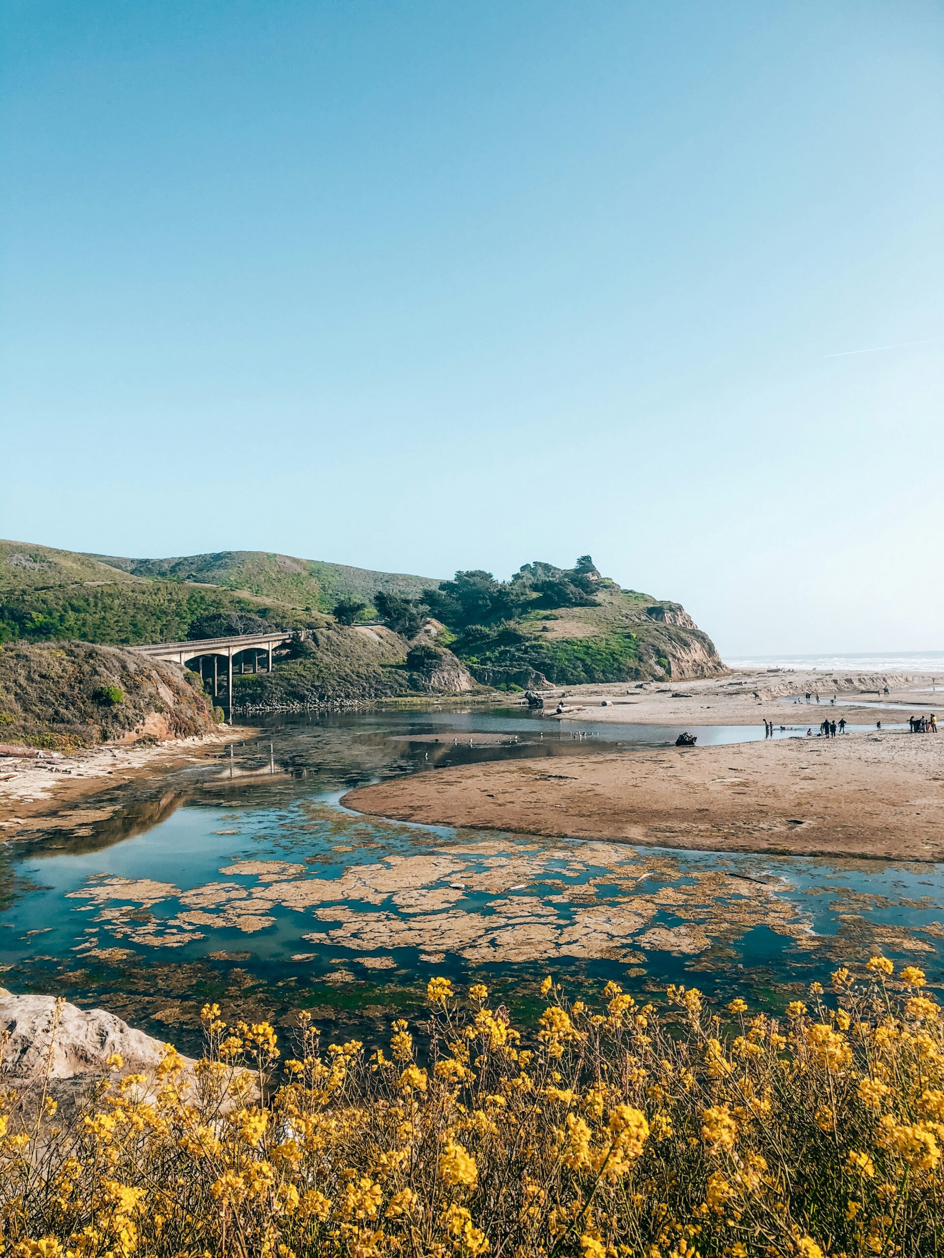 California April Bucket List: Top April Festivals & Events 2026