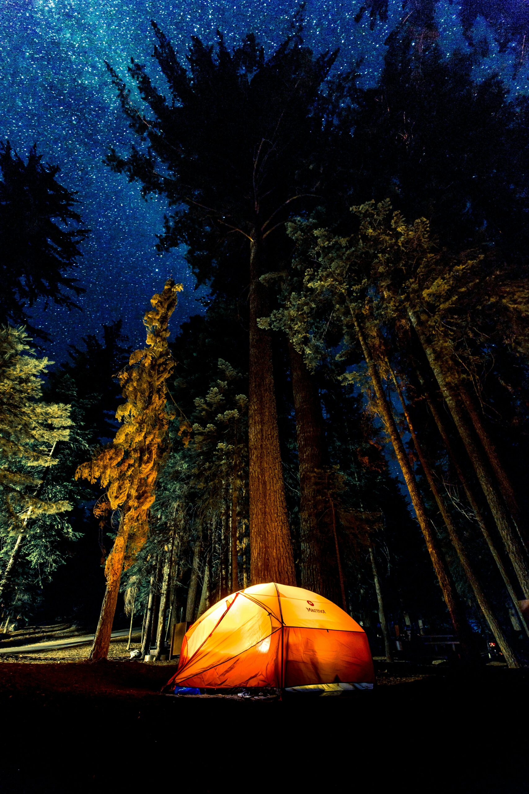 Best Places to Camp in California (2026 Guide + Hidden Gems)