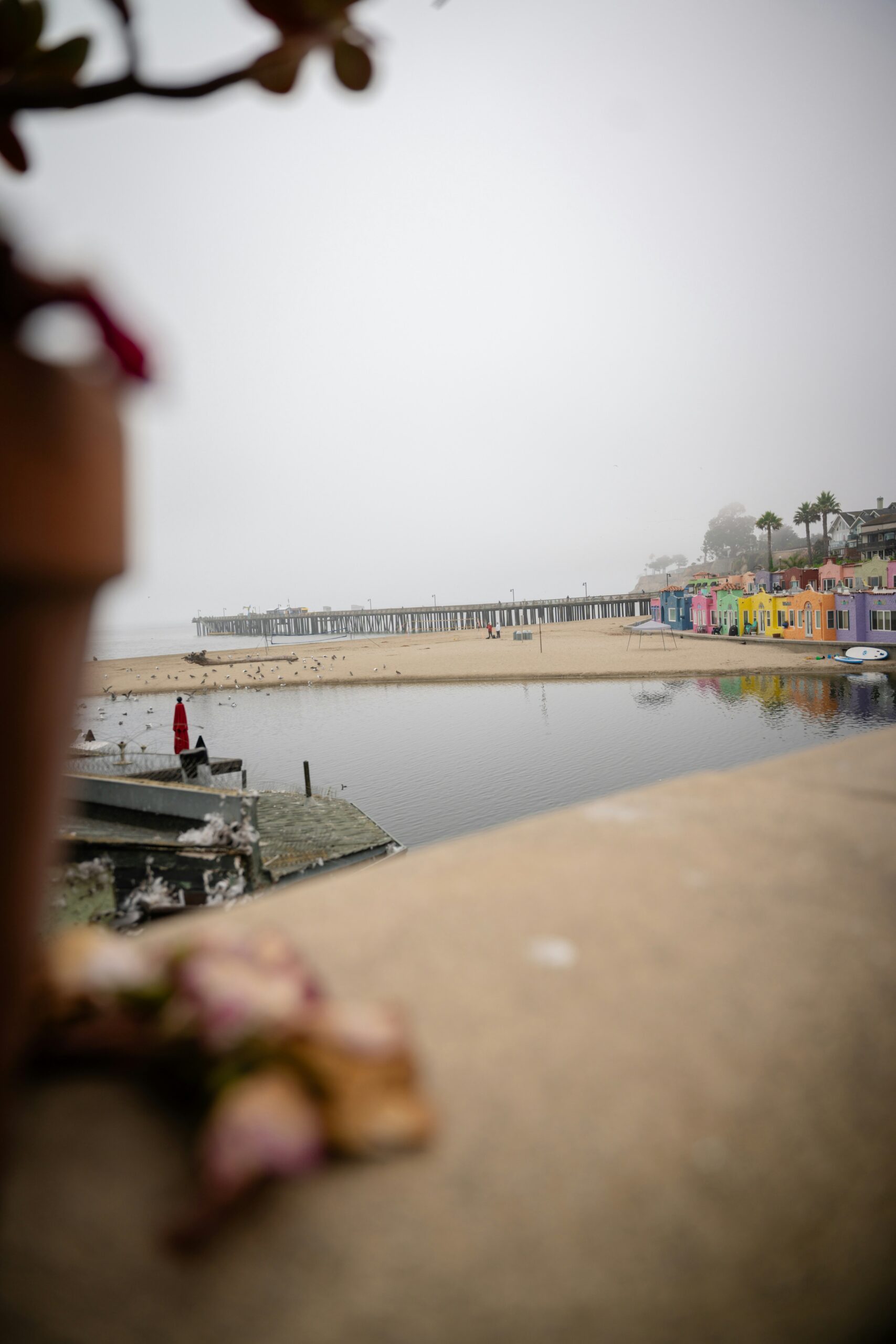 Walkable California Beach Towns Where You Can Skip The Car (And Save Big On Gas)