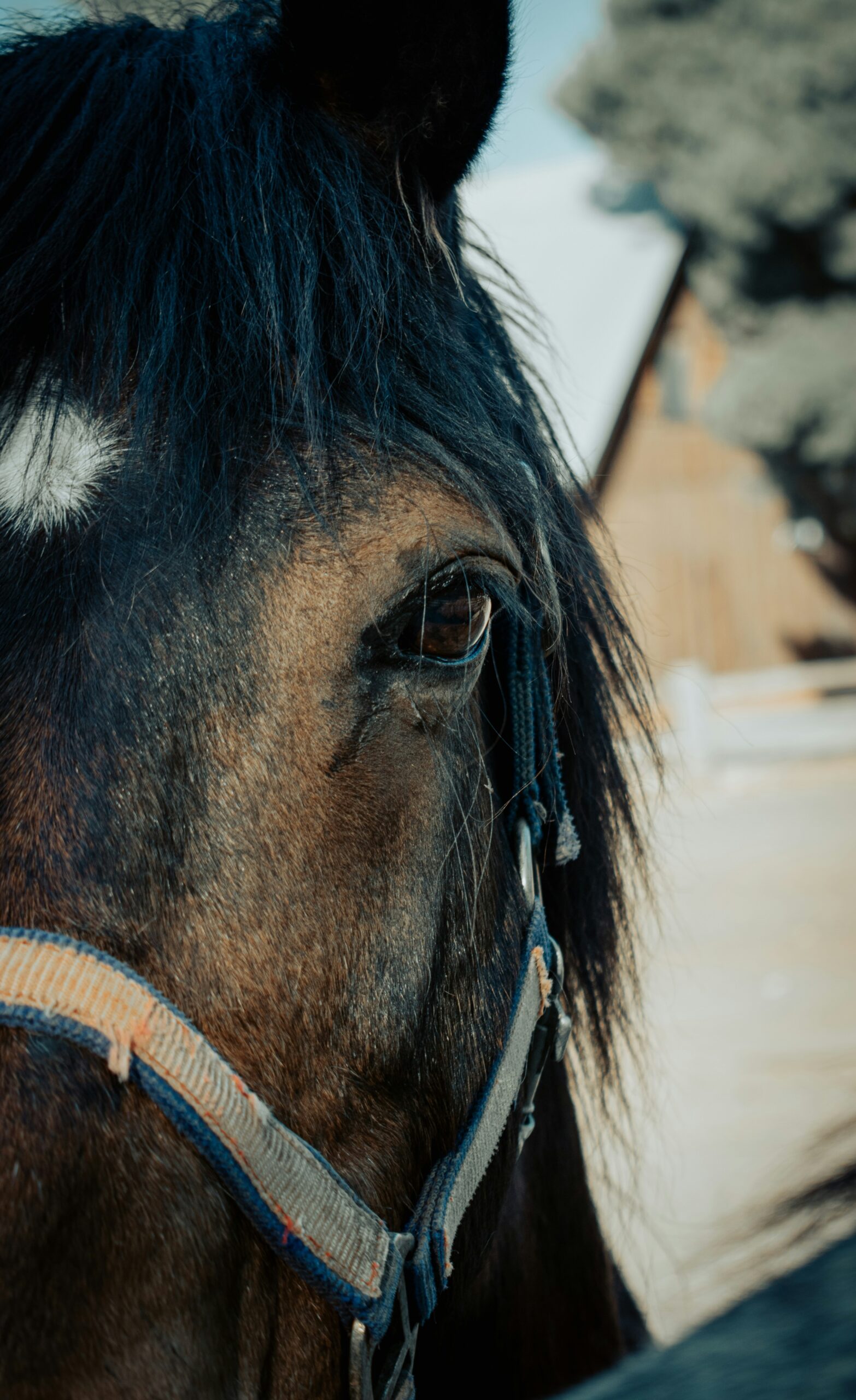 Kentucky Derby Events May 2026: Hidden California Parties & Derby Style