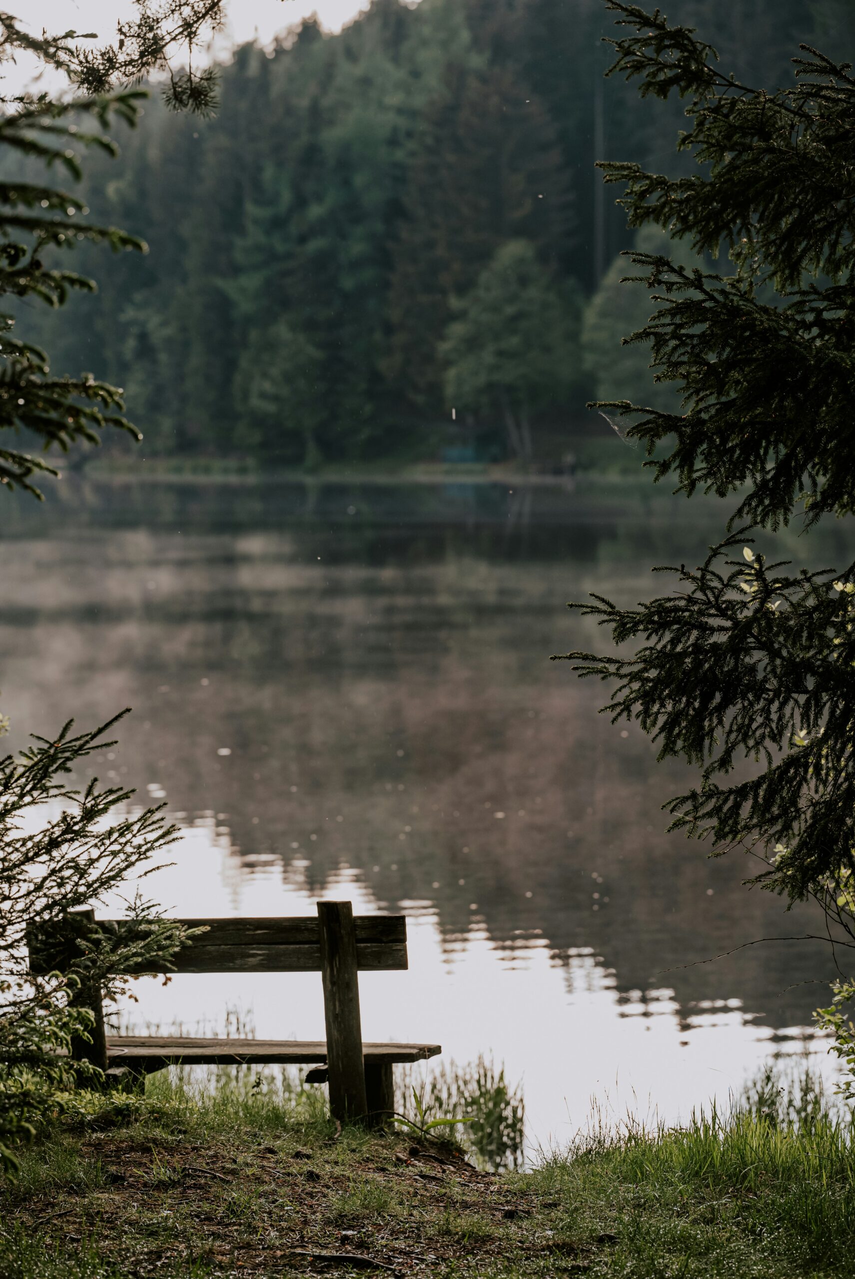 Best Places to Camp in California (2026 Guide + Hidden Gems)