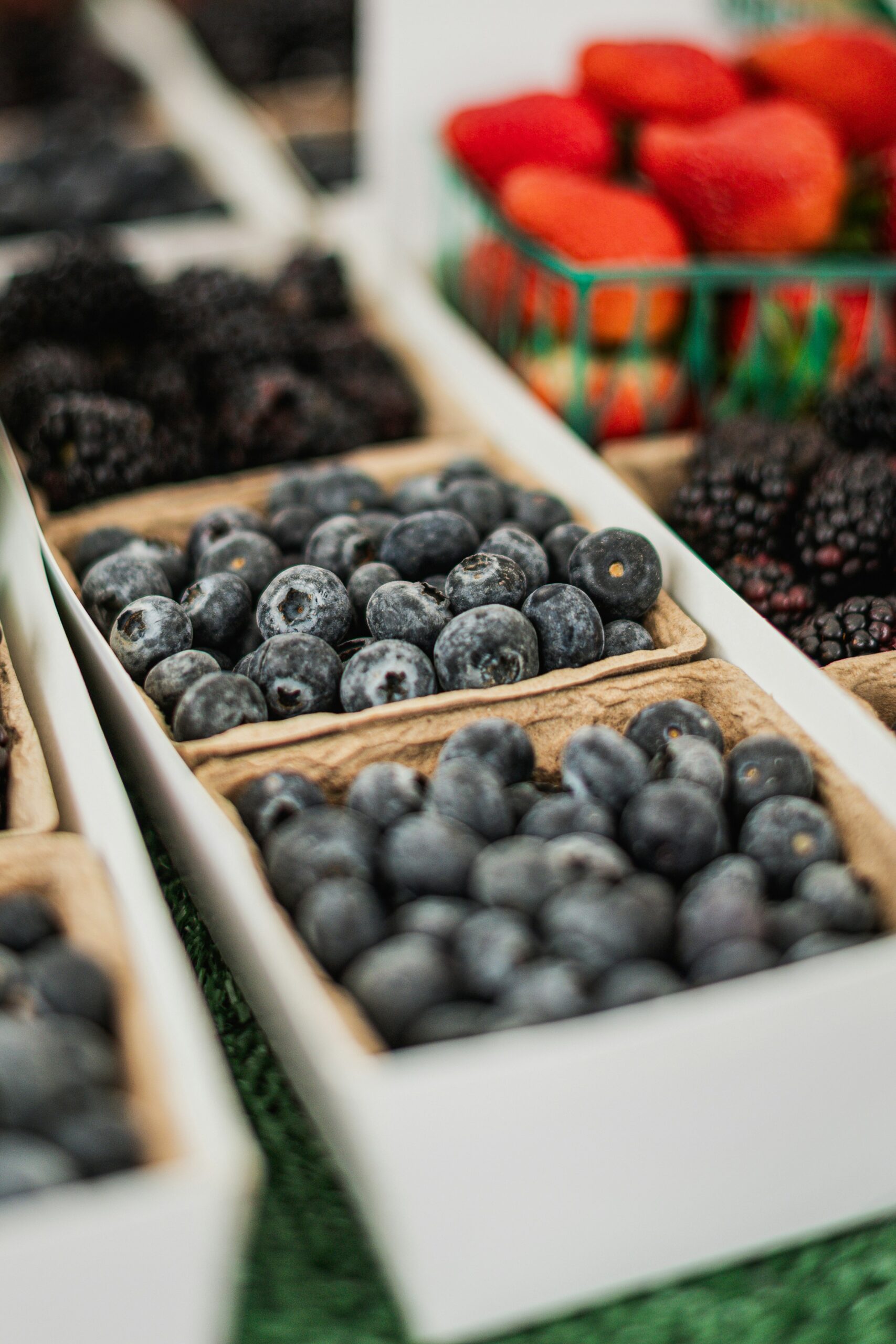 Skip the Crowds: Hidden U-Pick Farms in California (Ventura, Capay Valley & Watsonville)