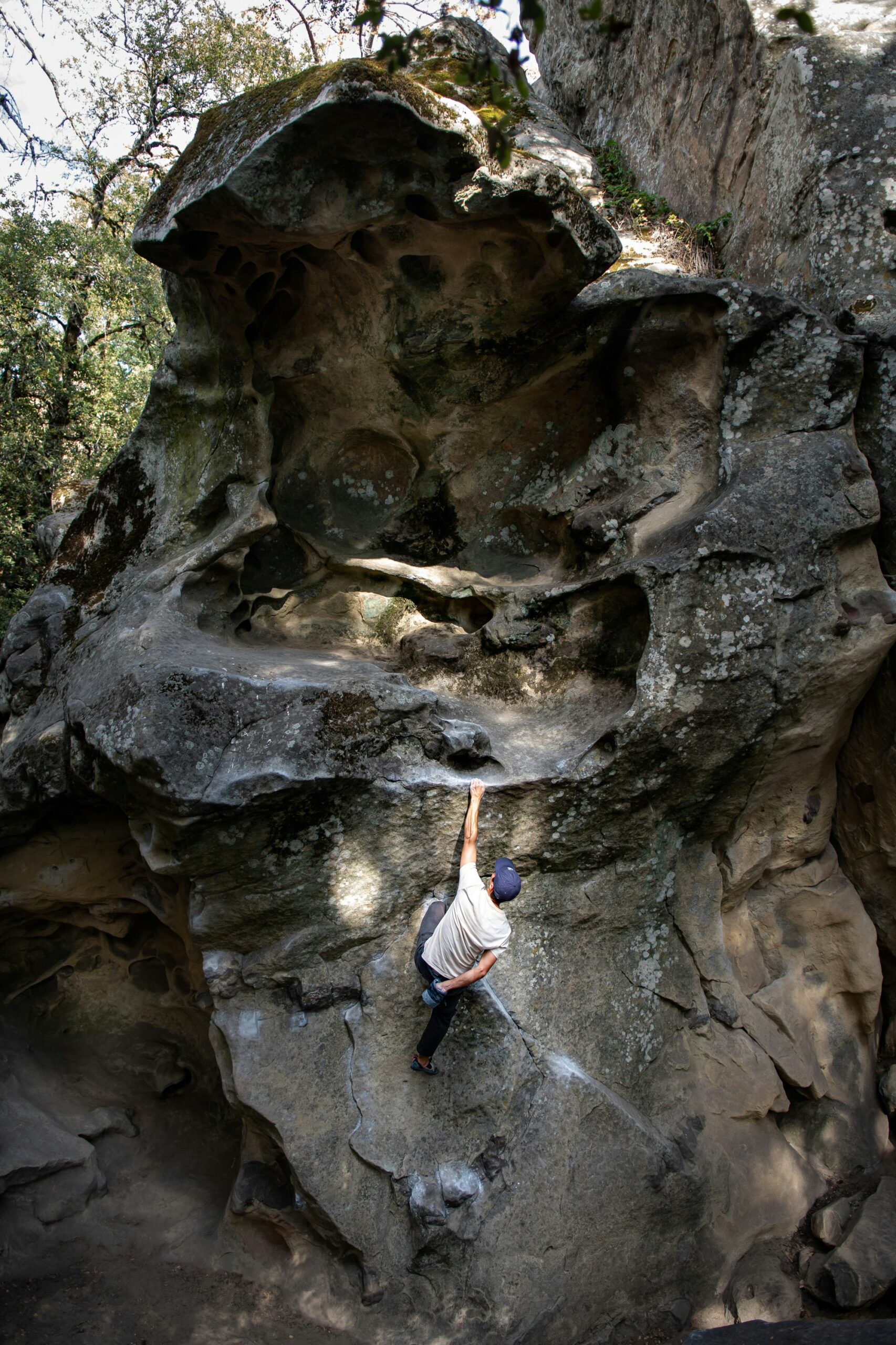 California State Parks Guide: Best Parks & More
