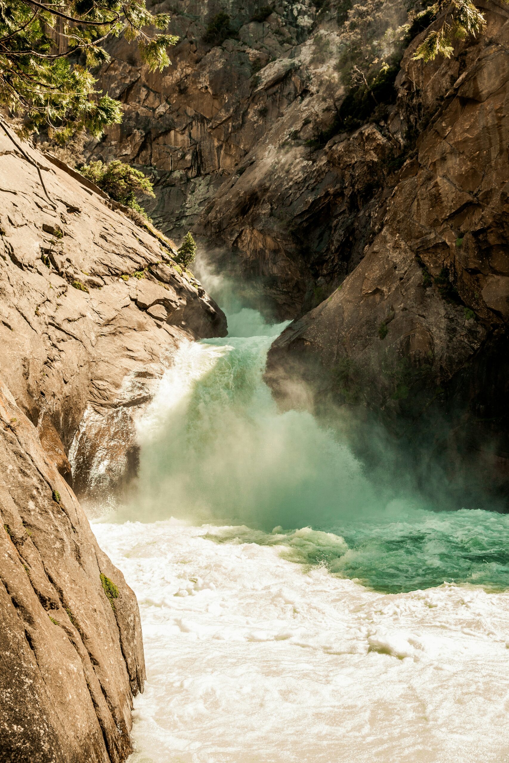 Sequoia & Kings Canyon National Parks: Ultimate Travel Guide