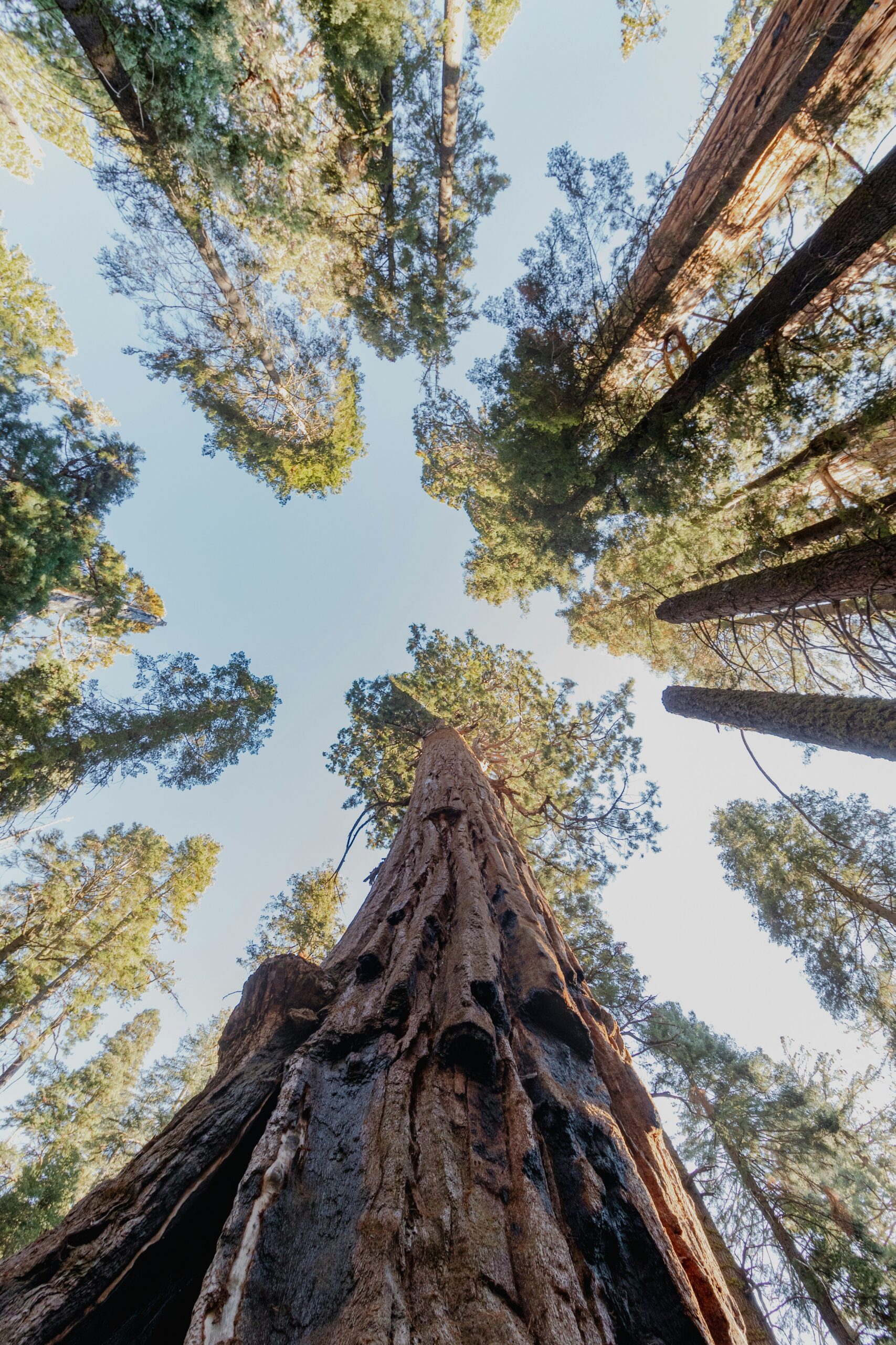 The Ultimate California End-of-Summer Bucket List: 40 Adventures Before Fall