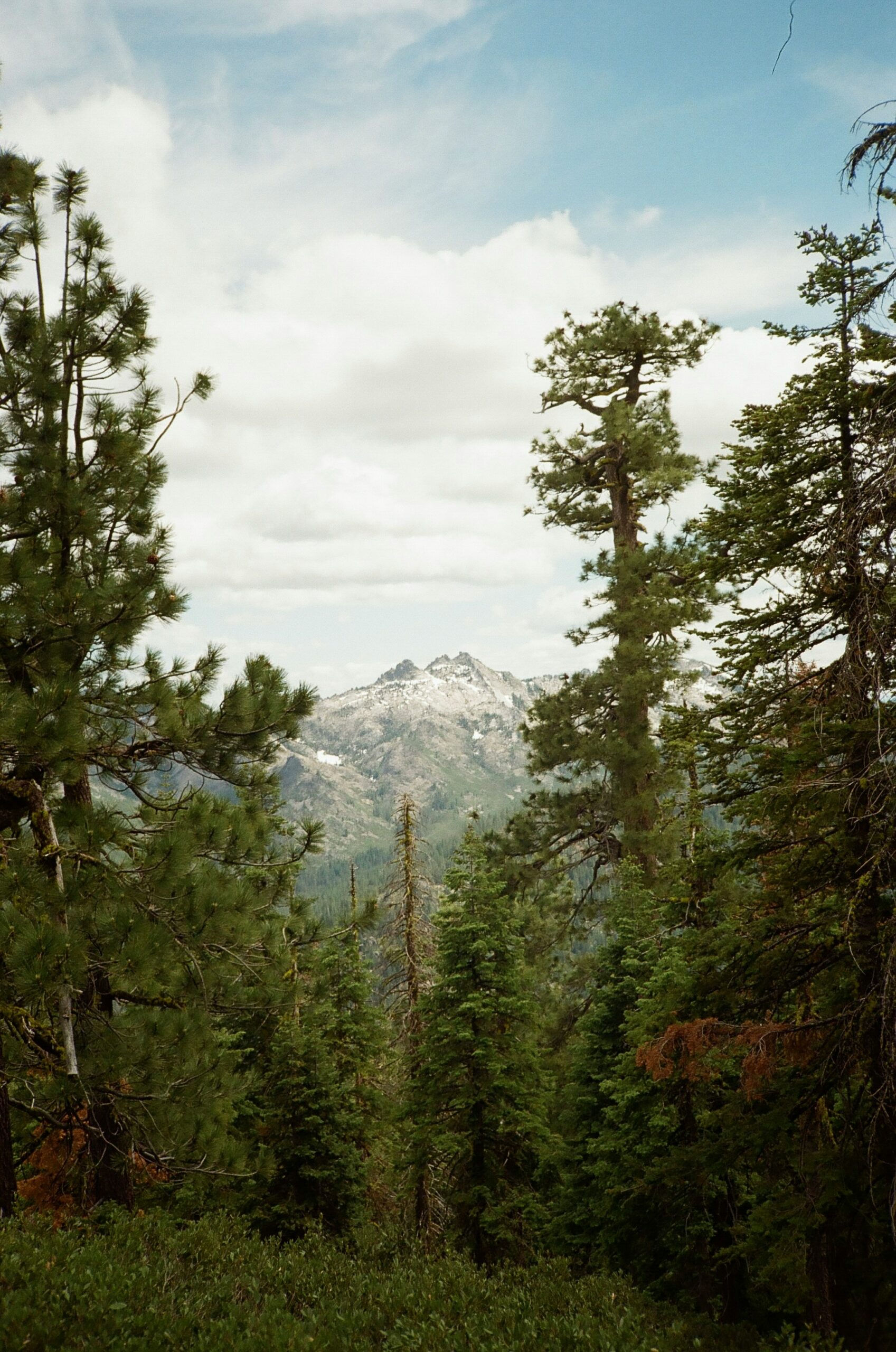 Best Hikes in California: Epic Trails From Coast to Mountains