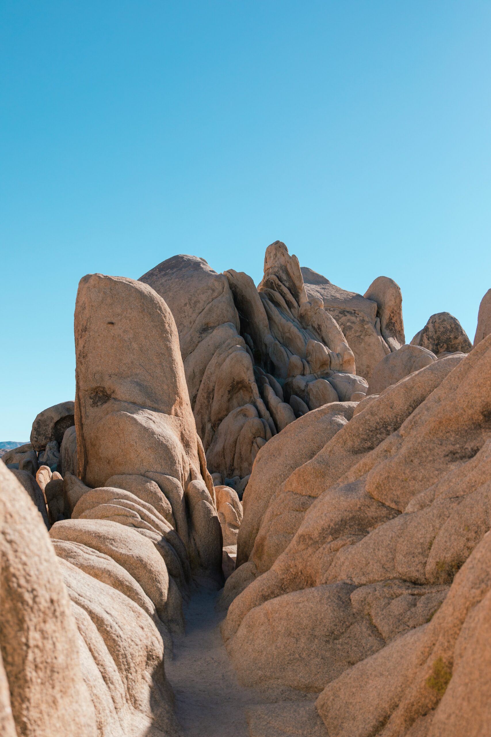Best Hikes in California: Epic Trails From Coast to Mountains