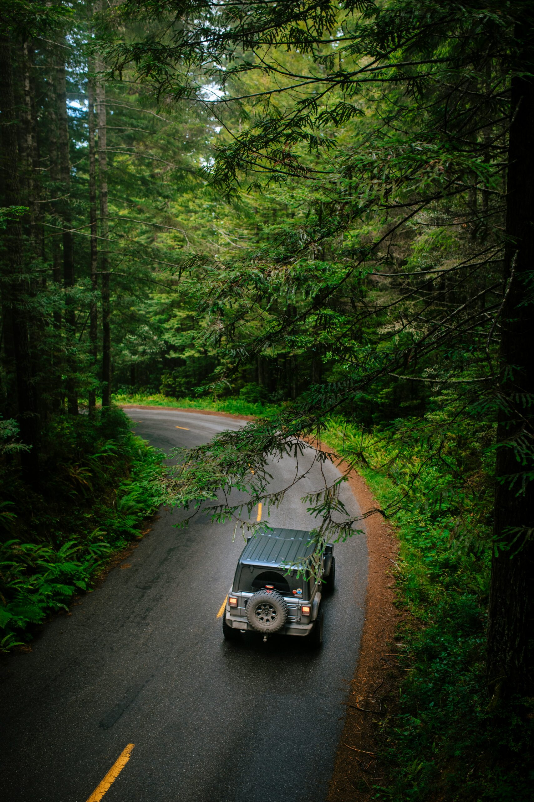 The Ultimate Redwood National Park Road Trip: Best Stops Between Eureka and Crescent City