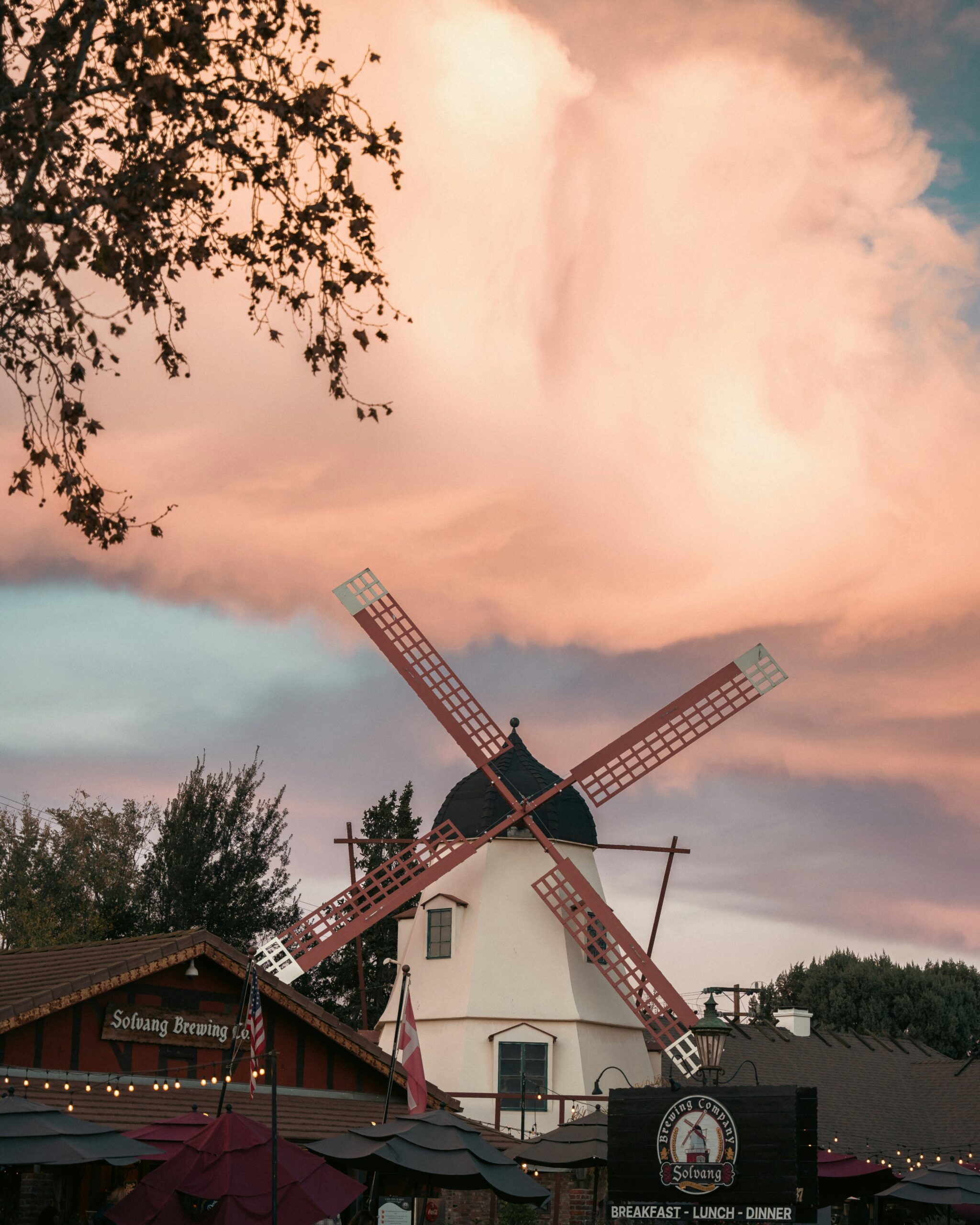 Skip the Crowds: 12 Underrated California Day Trips