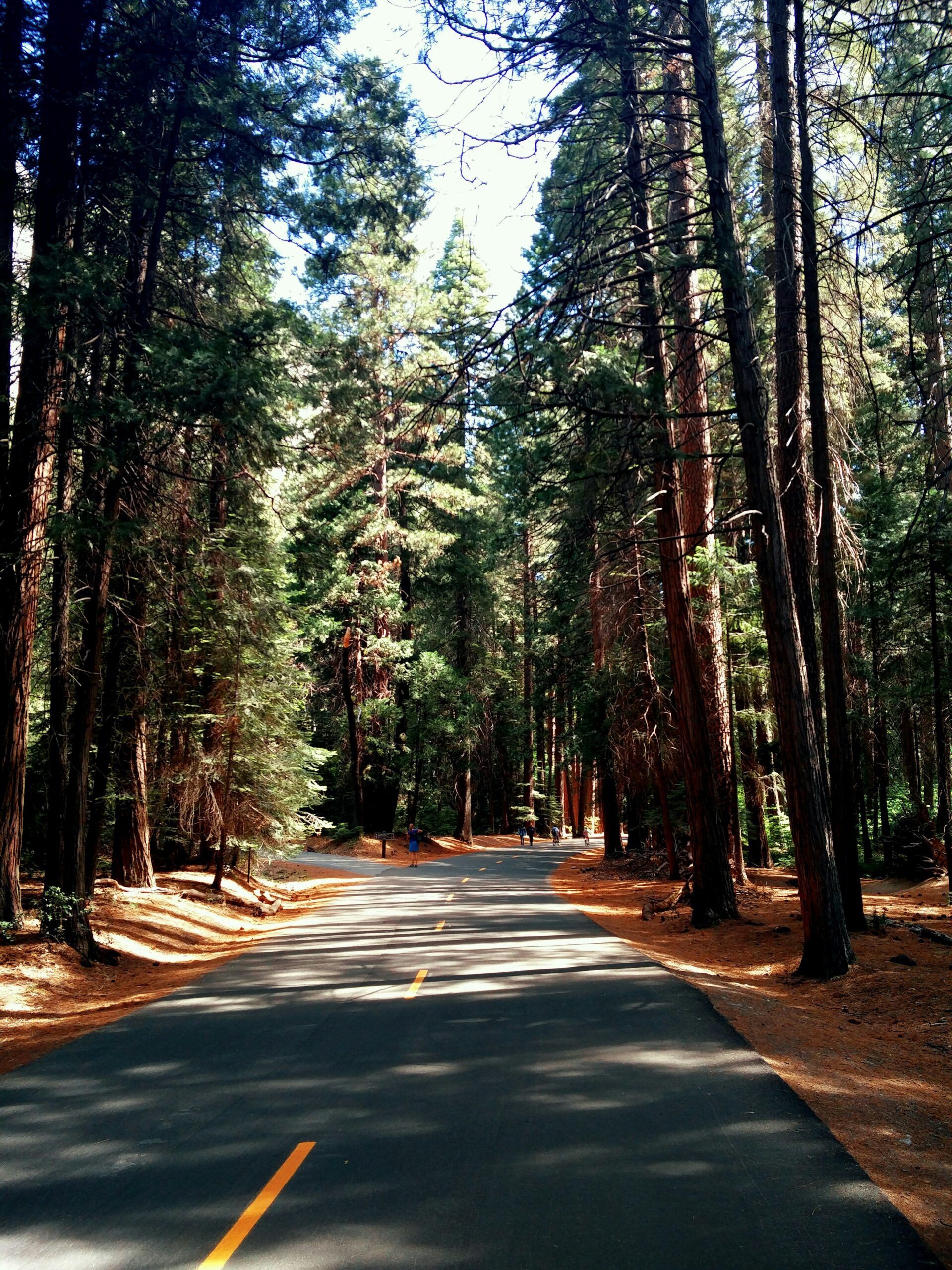 California State Parks Guide: Best Parks & More