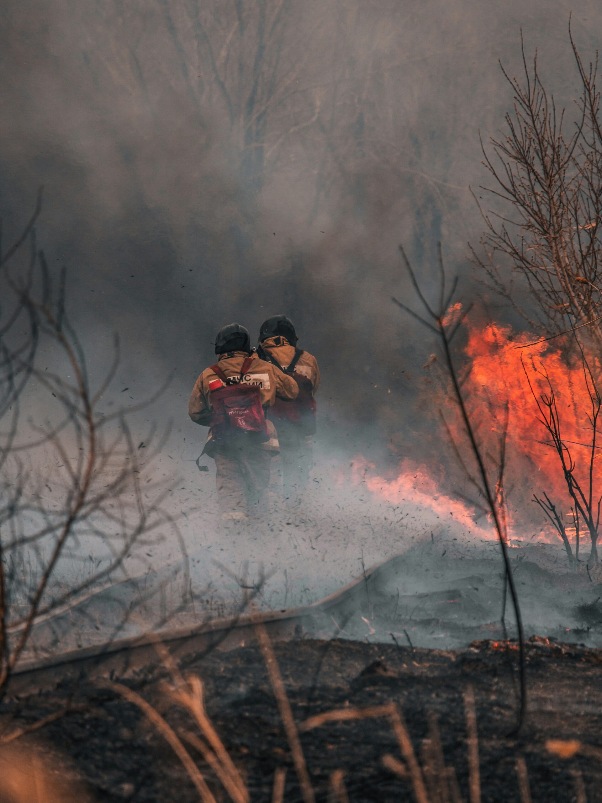Highway 1 Closed in Big Sur: Timber Fire Closure & Latest Updates