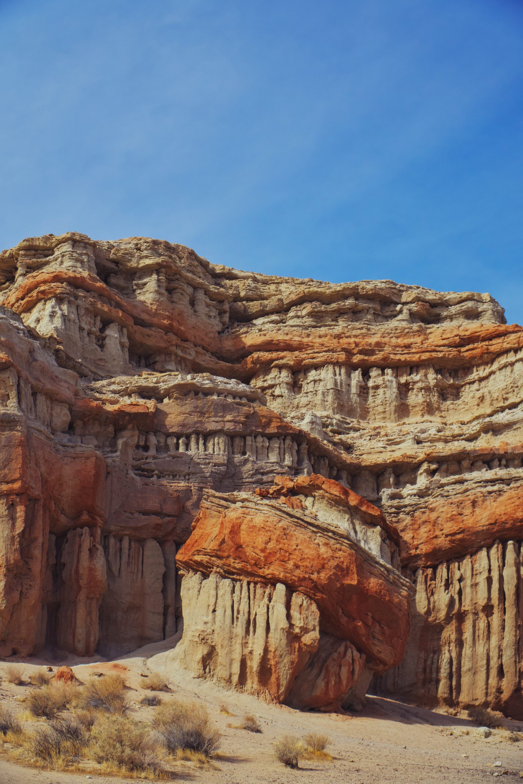 California State Parks Guide: Best Parks & More