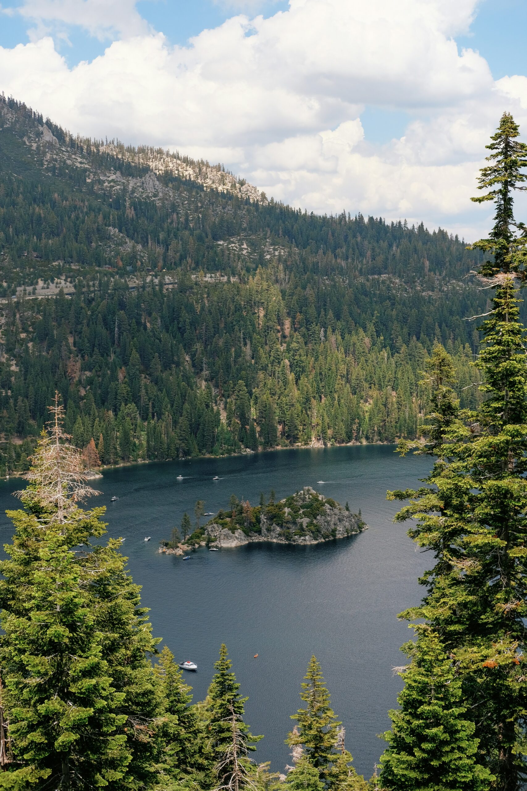 California State Parks Guide: Best Parks & More