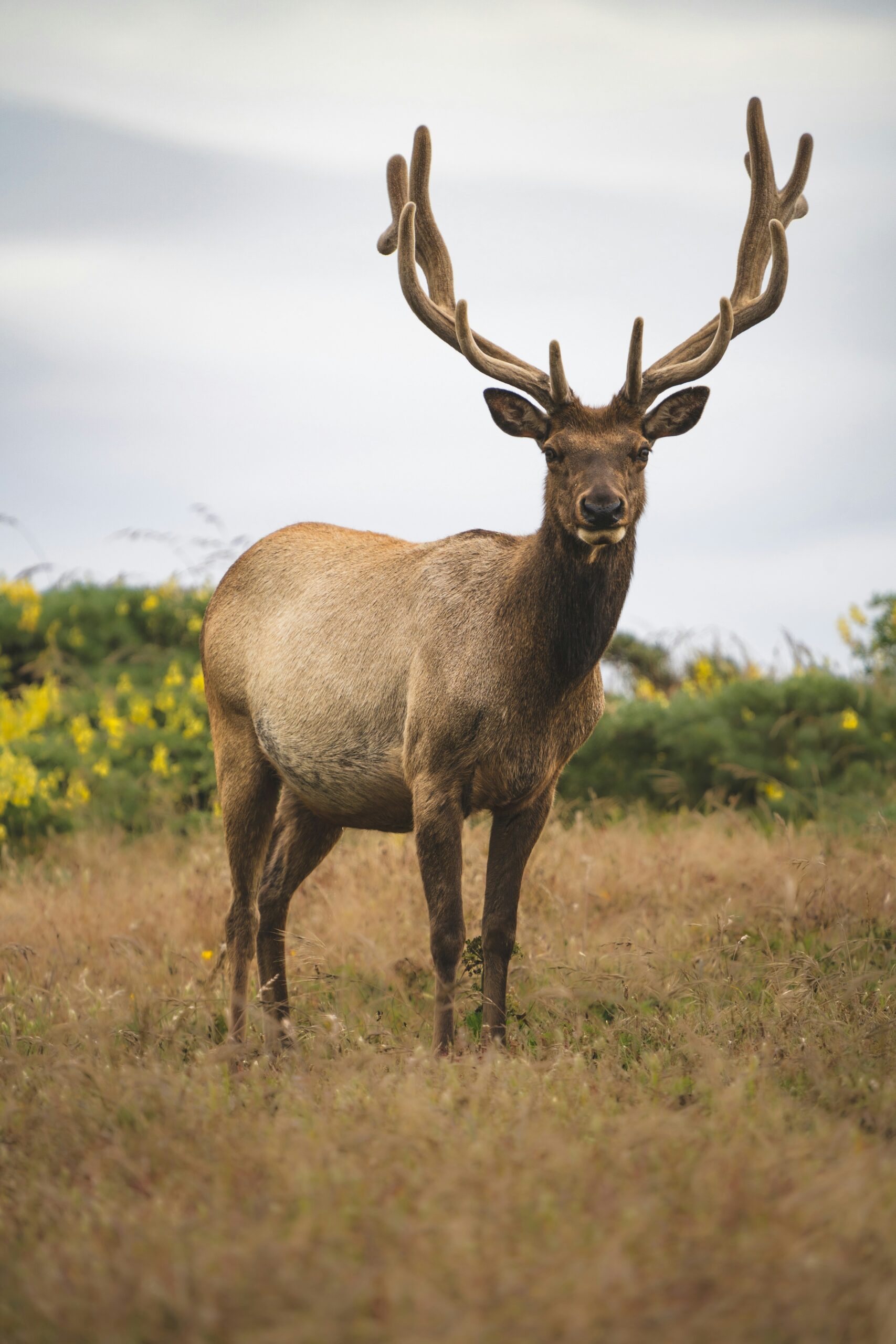 California State Parks Guide: Best Parks & More