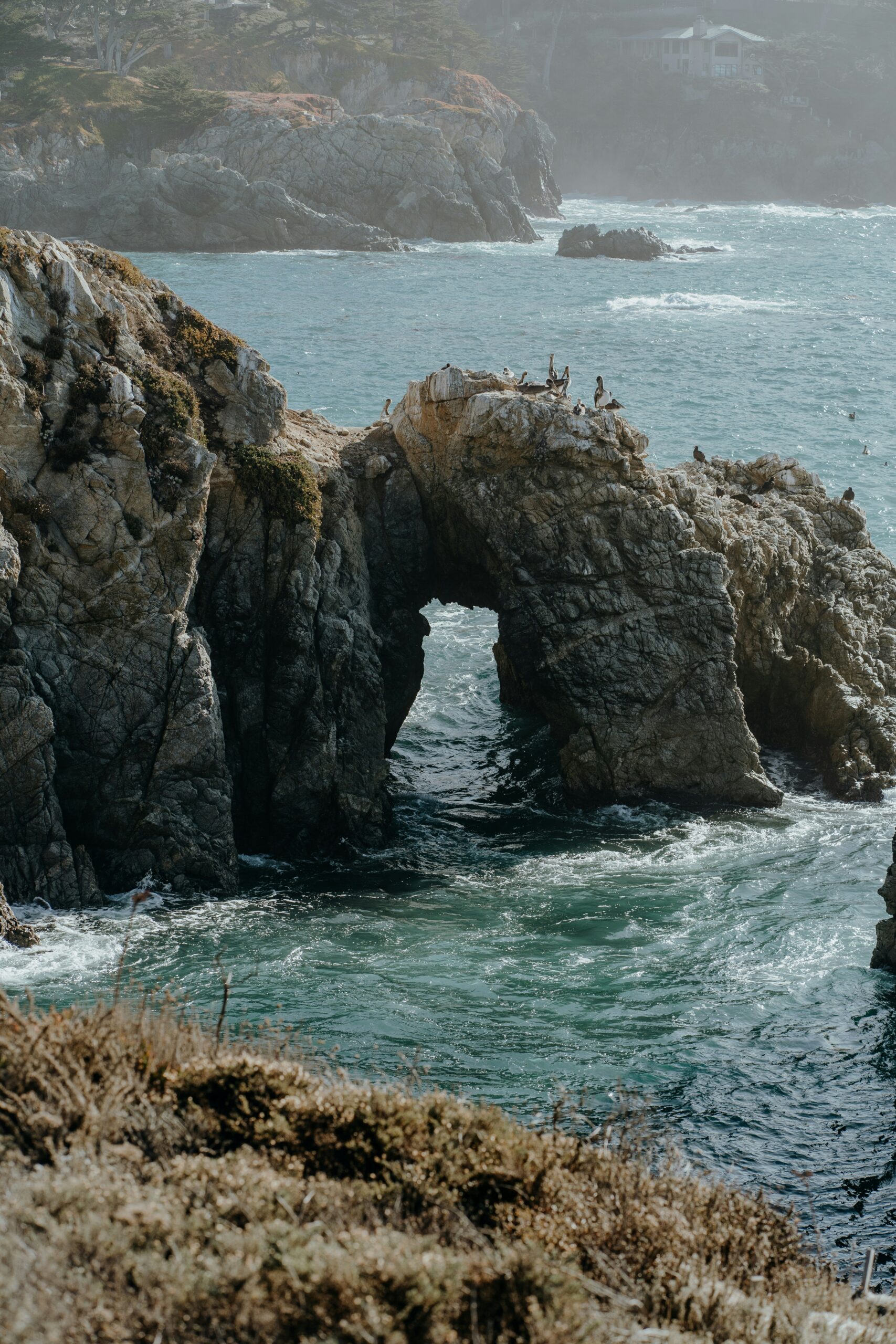 7 Cool Places to Escape California’s Heat This August | Coolcation Road Trip