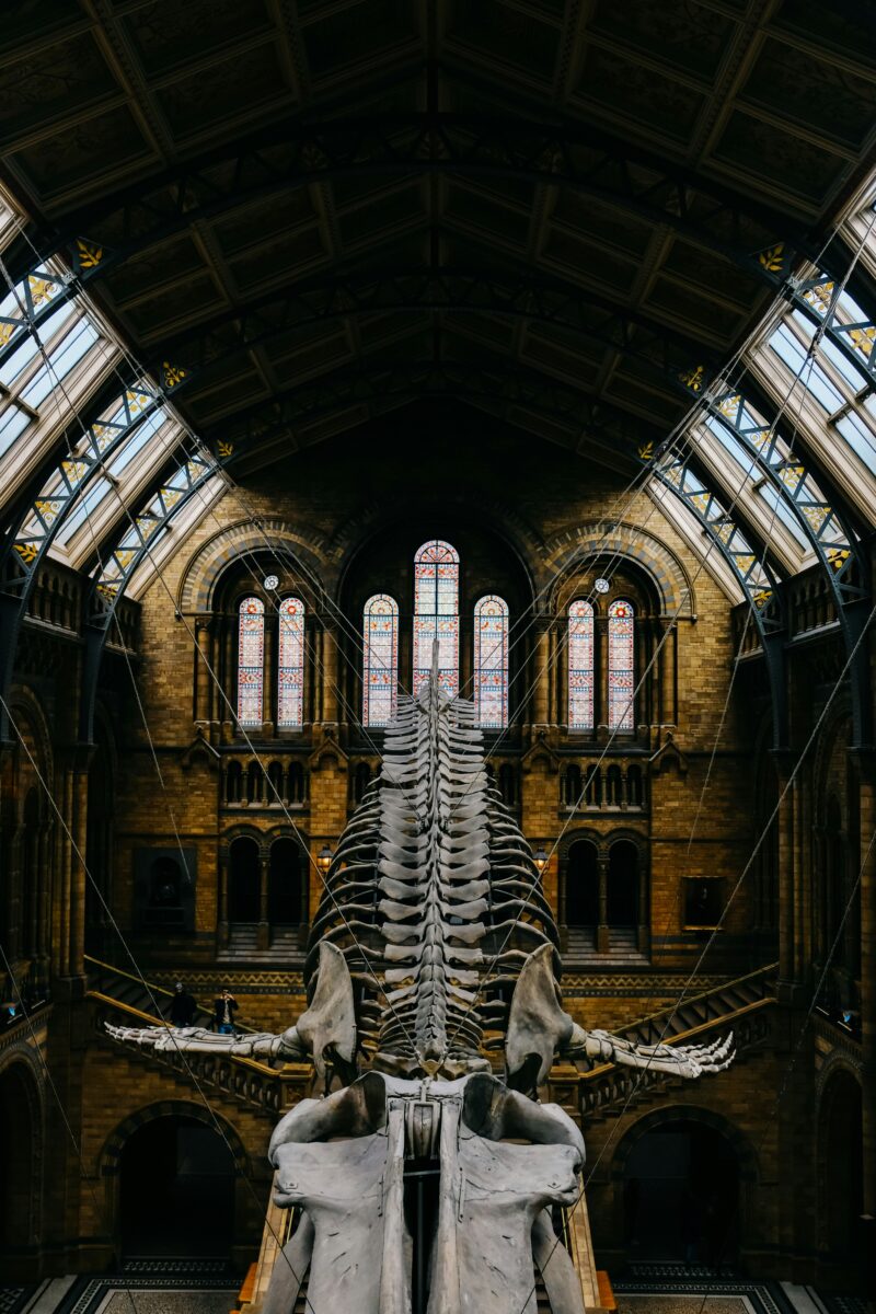 50 Weird Places in California You Need to See