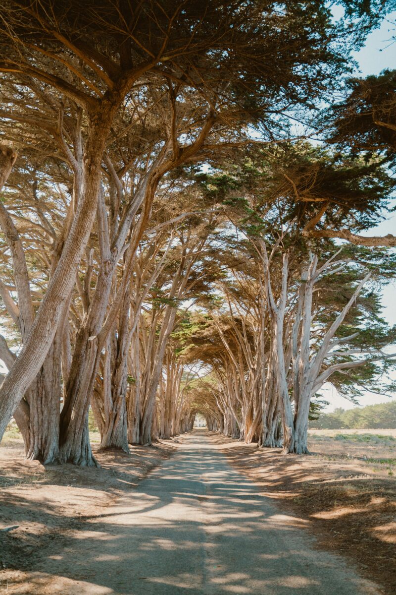 50 Weird Places in California You Need to See