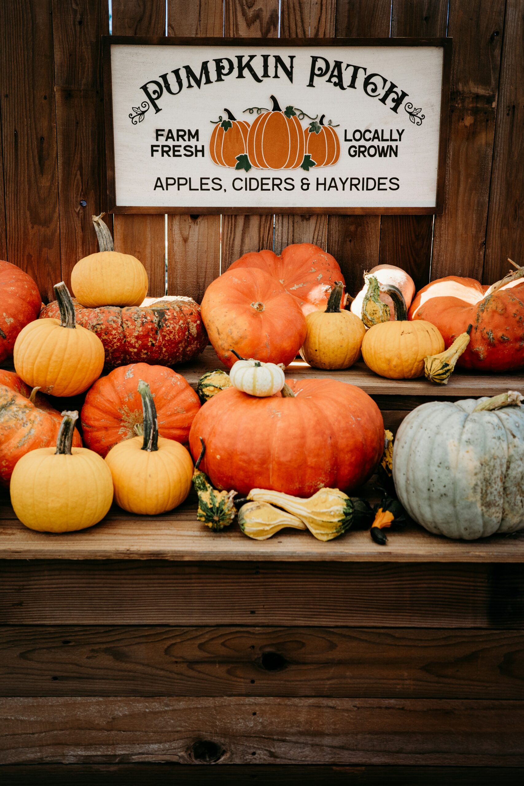 California Fall Festivals: Ultimate Guide to 2026 Events
