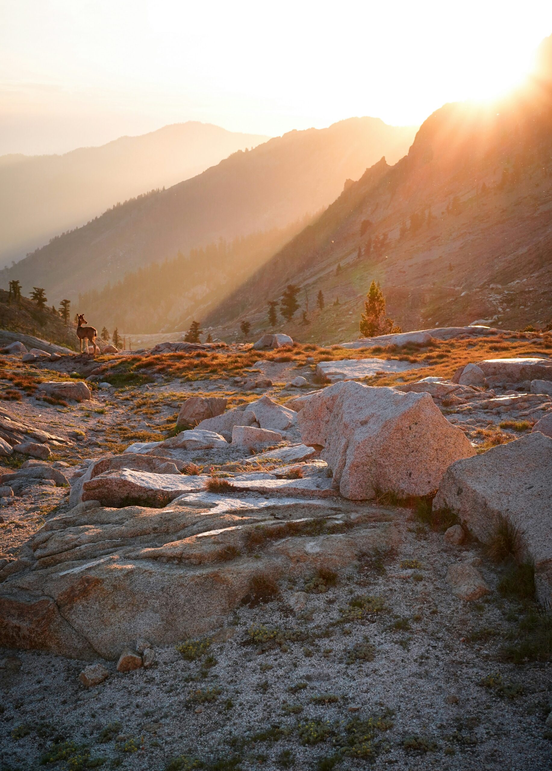 Best California National Parks to Visit in September