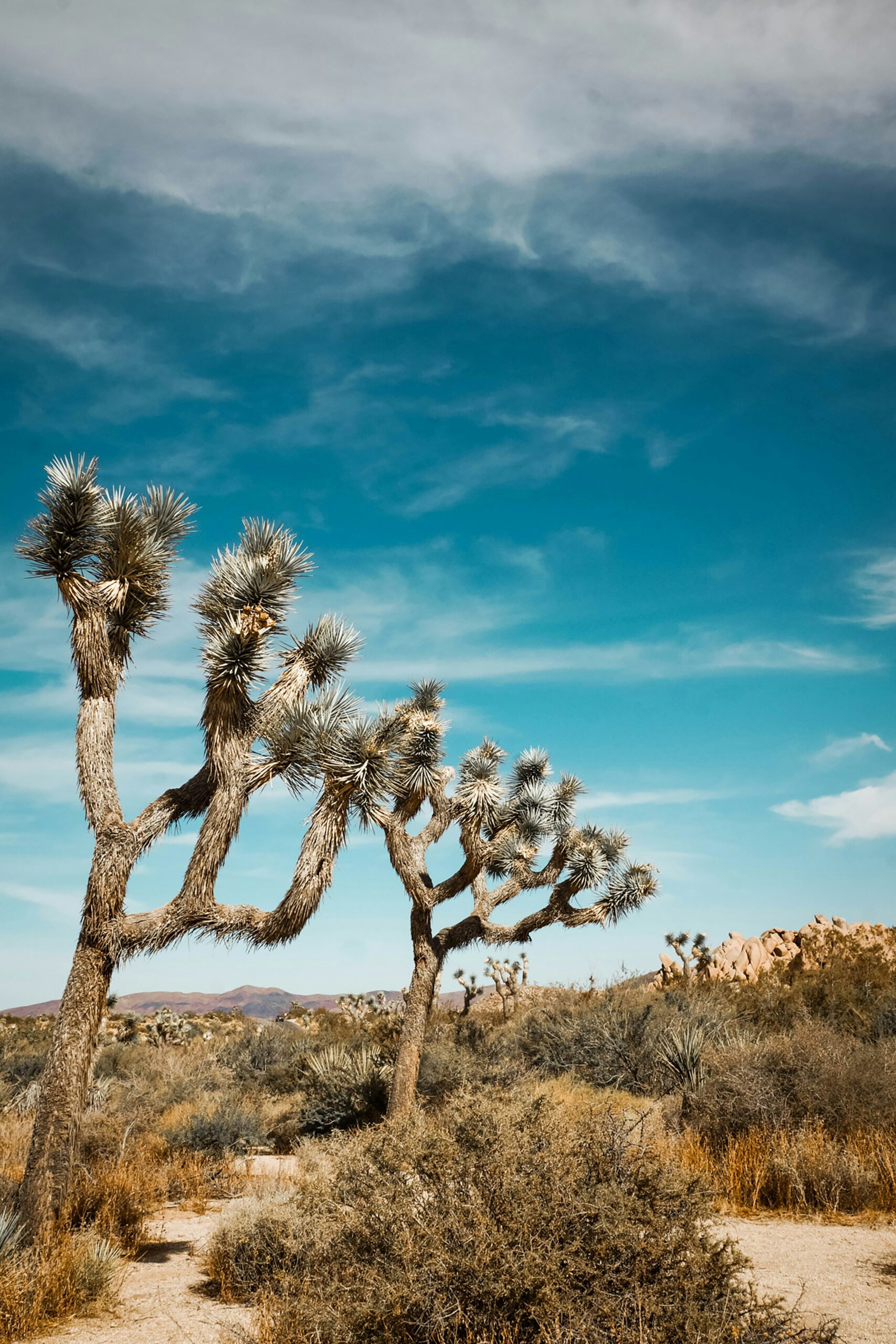 Best California National Parks to Visit in September