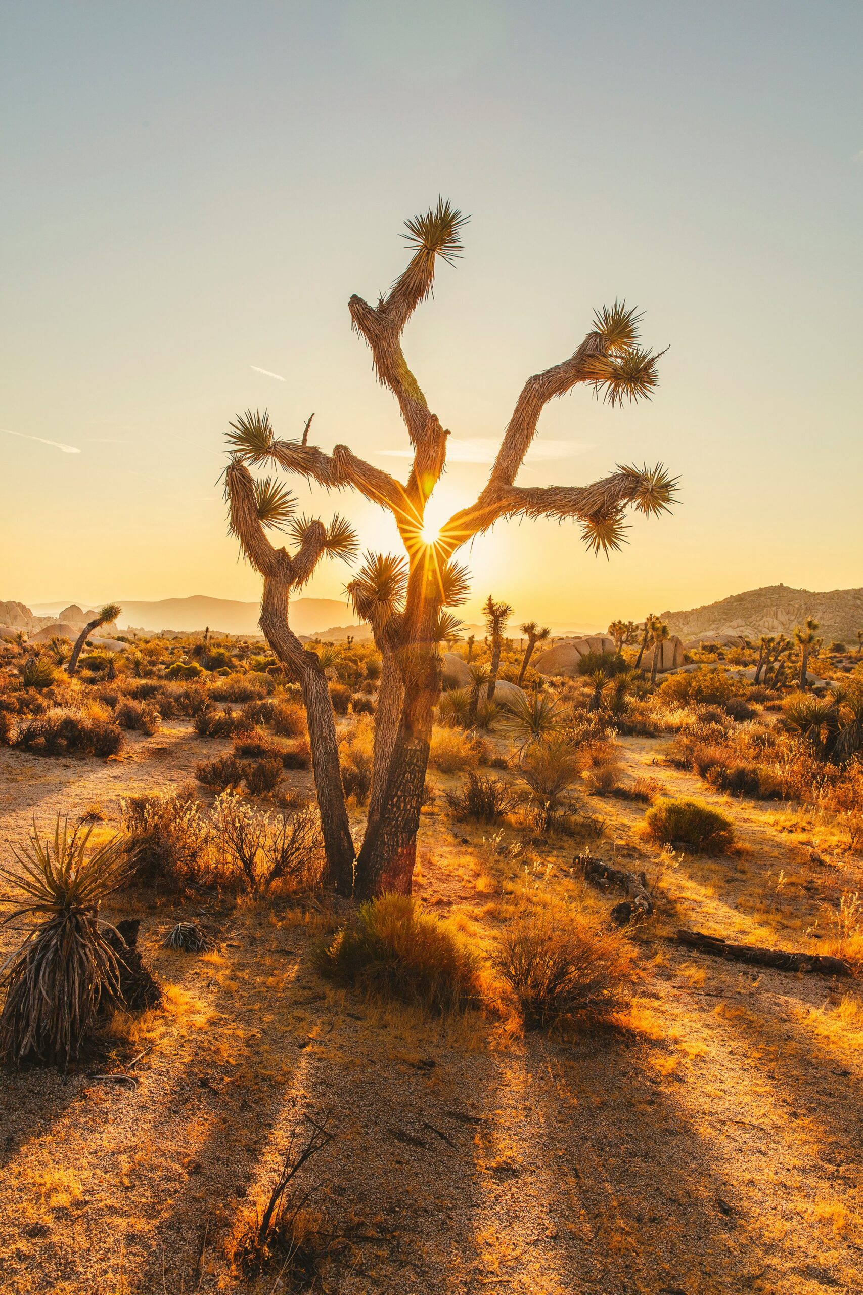 California Fall Road Trip: 10 Epic Routes to Explore