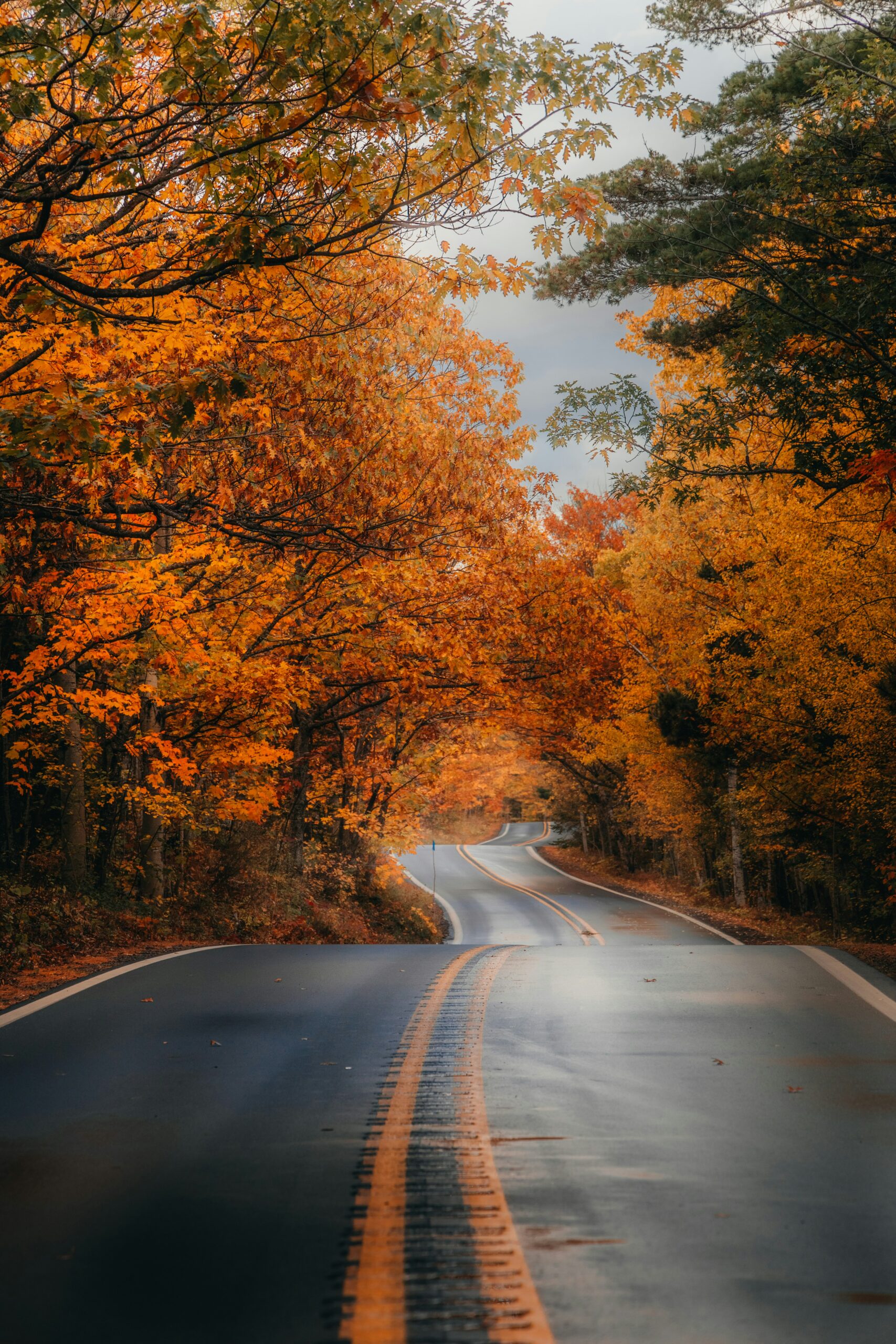 California Fall Road Trip: 10 Epic Routes to Explore