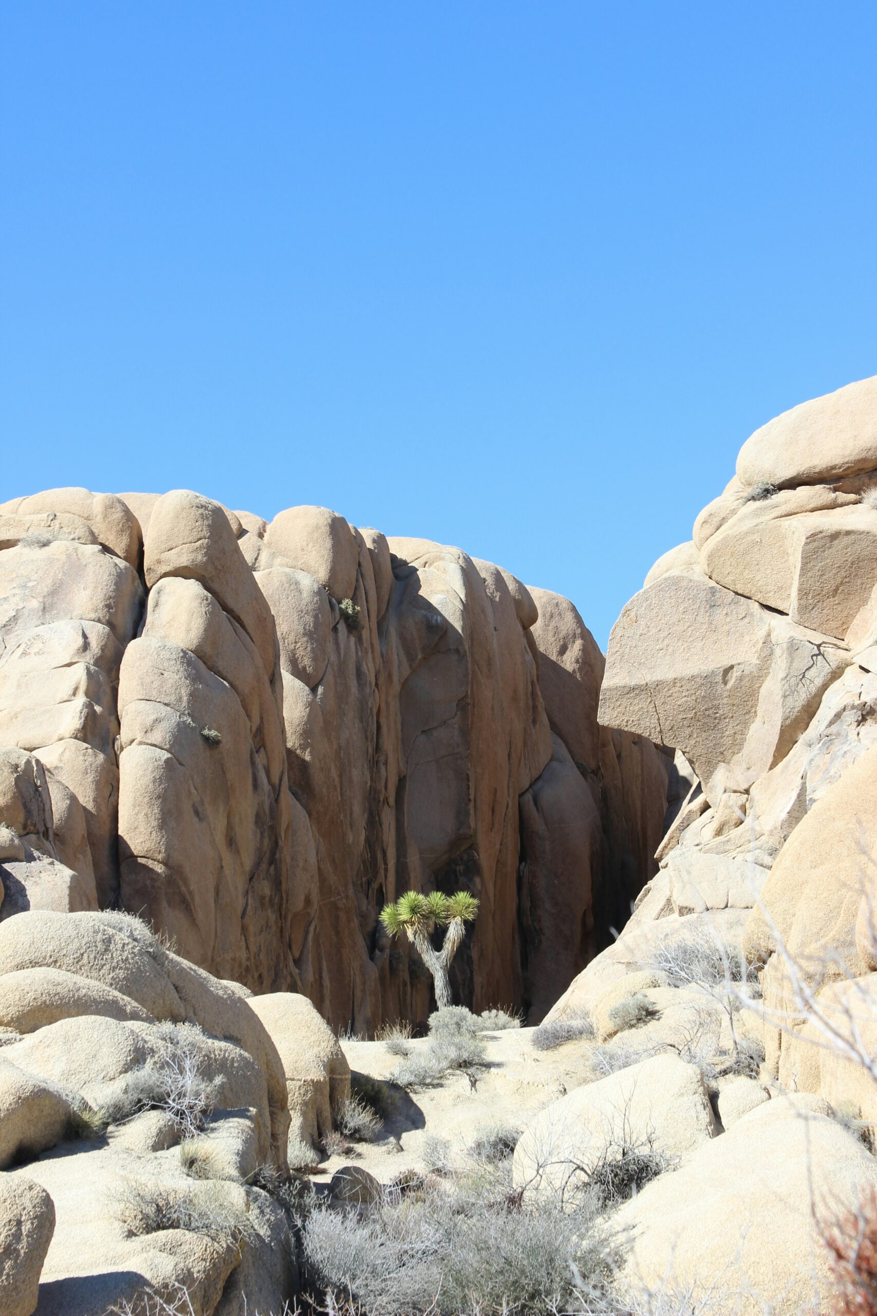 California Bucket List: 60 Must-See Places & Hidden Gems
