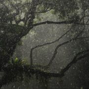 California State of Emergency Declared Ahead of El Niño 2026
