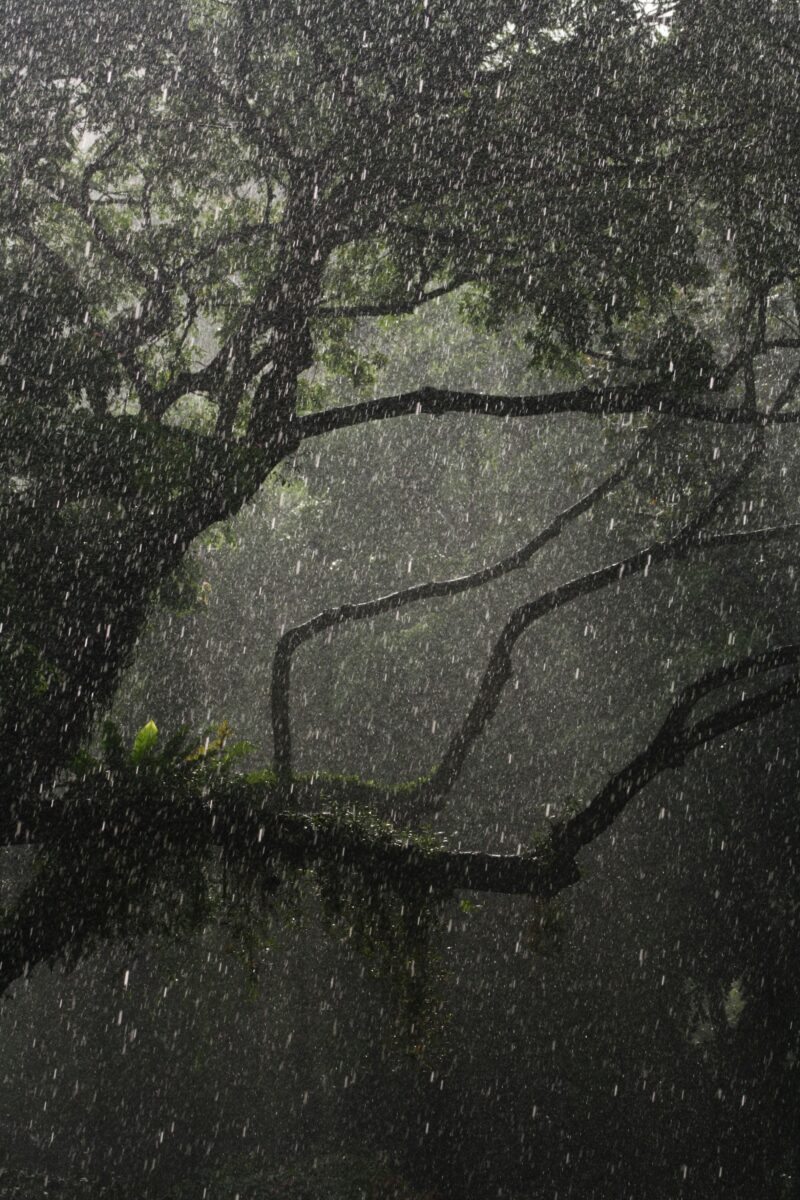California State of Emergency Declared Ahead of El Niño 2026