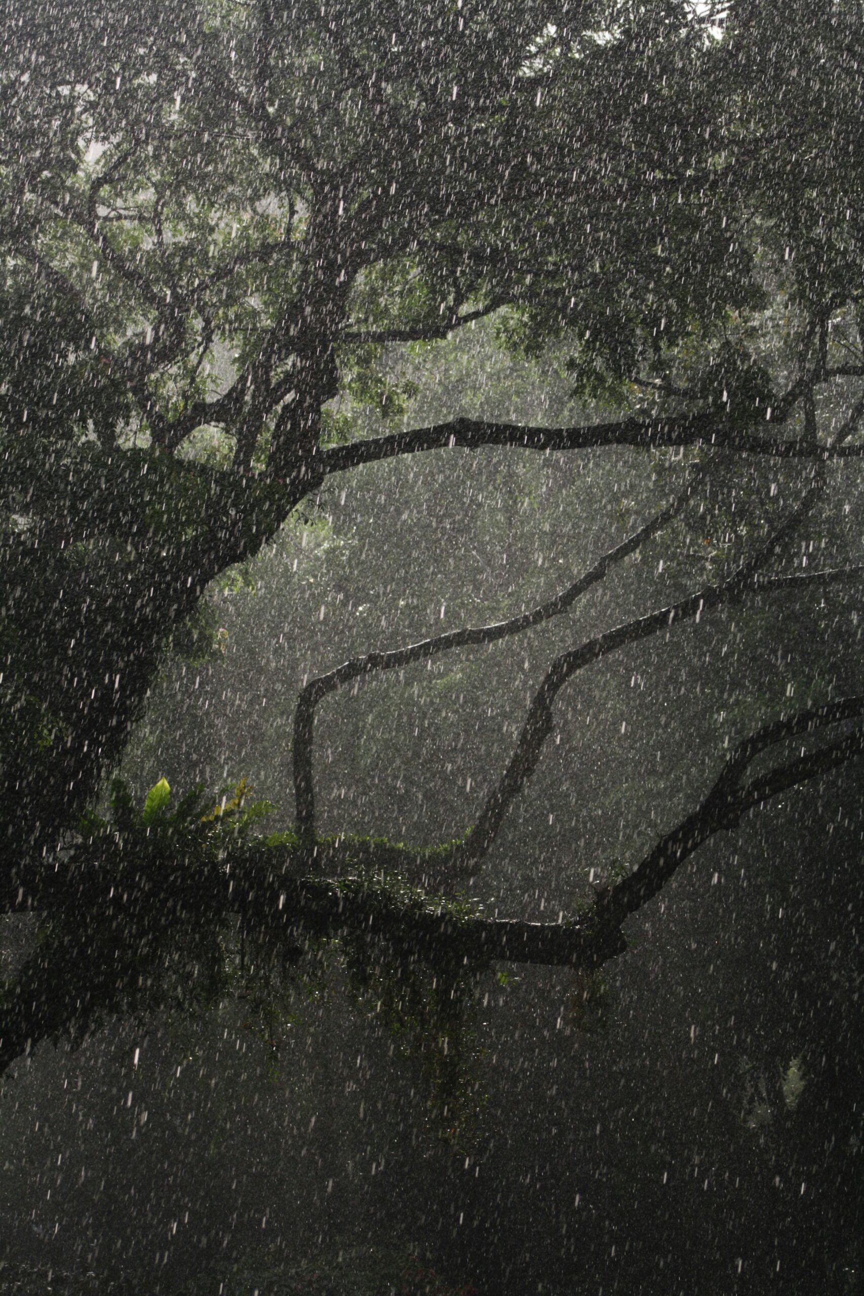California State of Emergency Declared Ahead of El Niño 2026