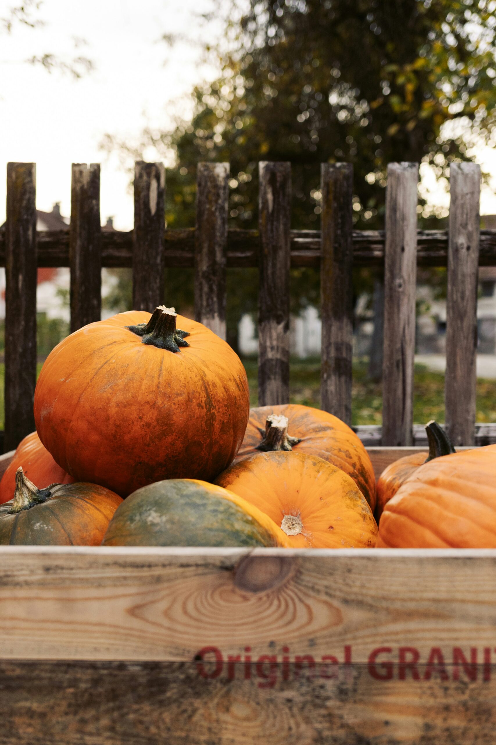10 California Fall Festivals Worth a Road Trip in 2026