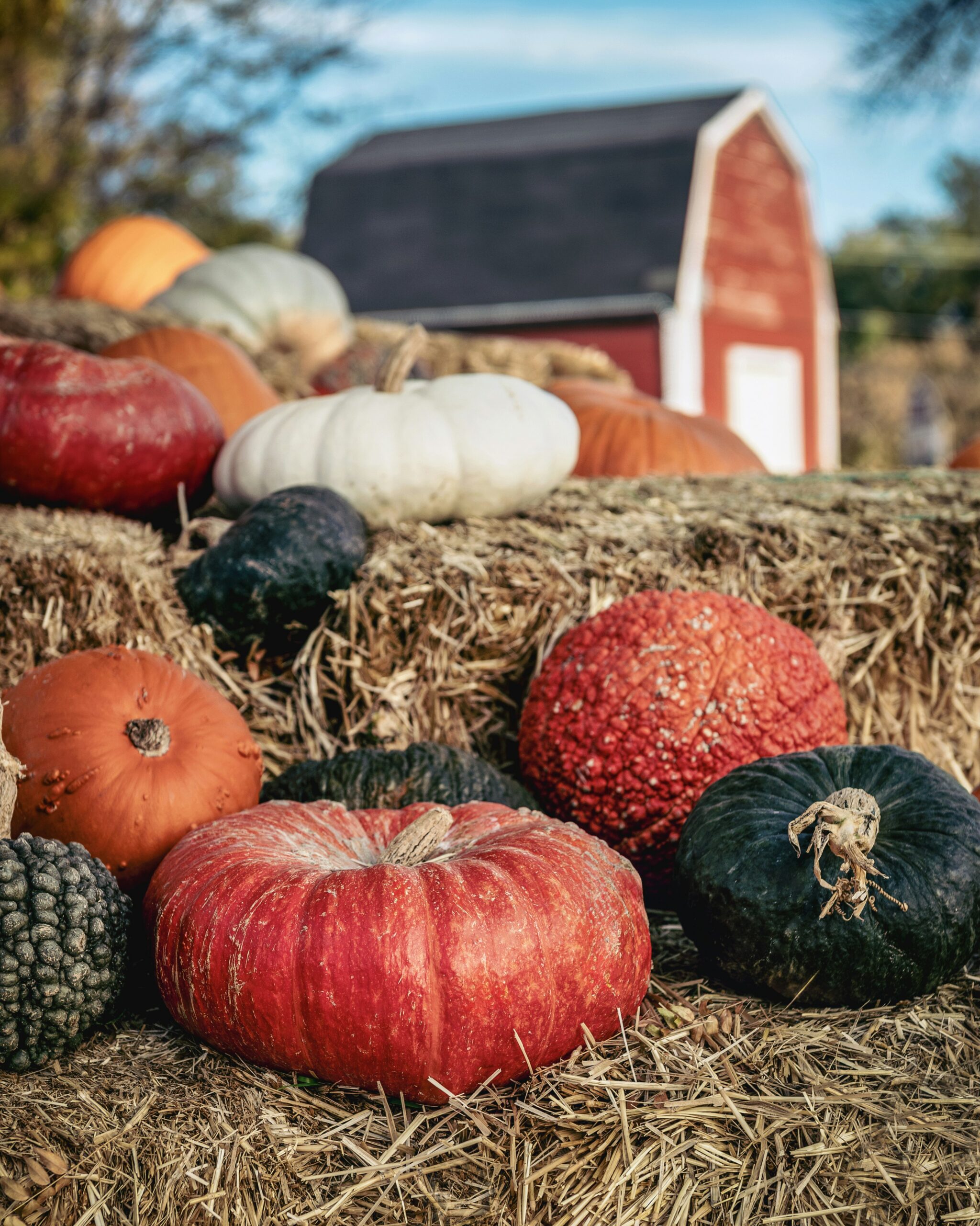 10 California Fall Festivals Worth a Road Trip in 2026