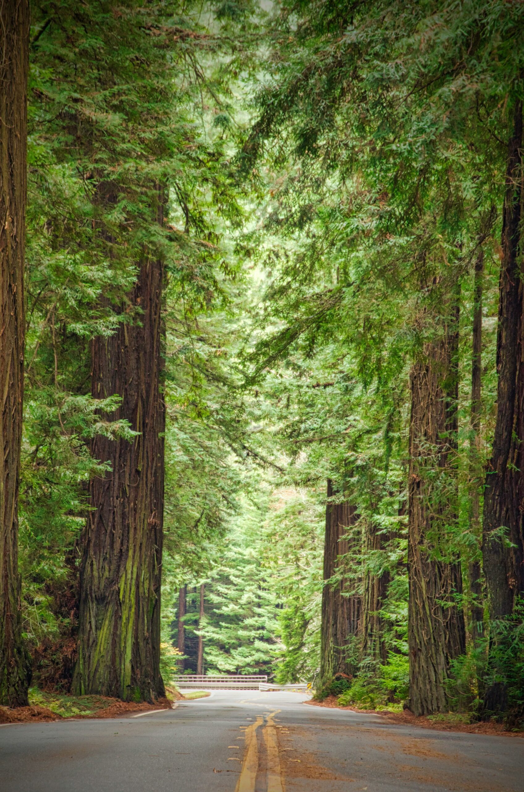 California Bucket List: 60 Must-See Places & Hidden Gems