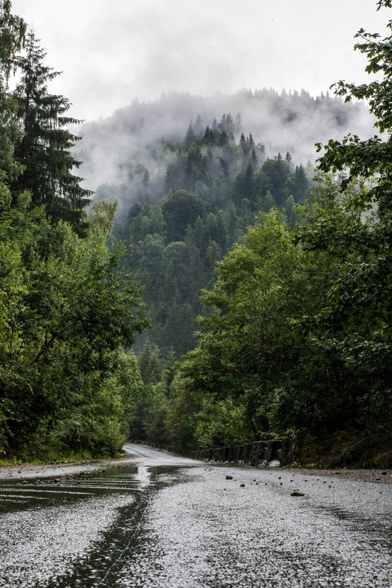 NOAA California Weather Forecast: What’s Coming for the Rest of 2026?