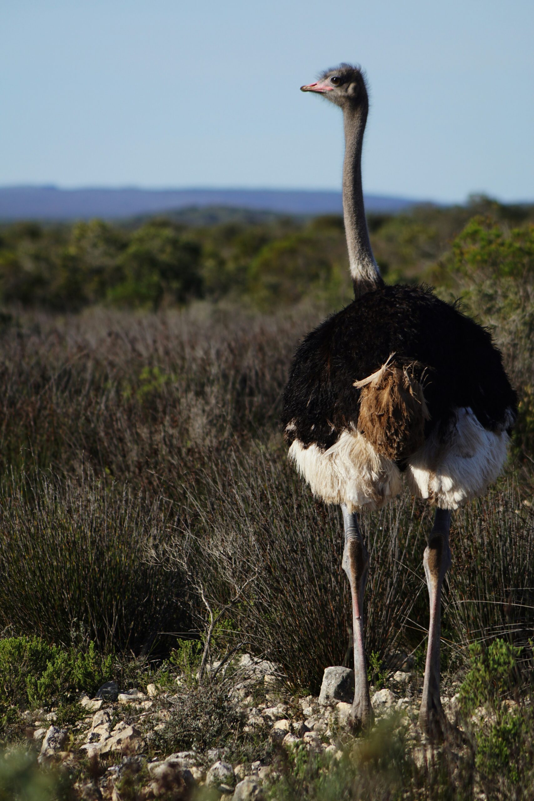 50 Weird Places in California You Need to See