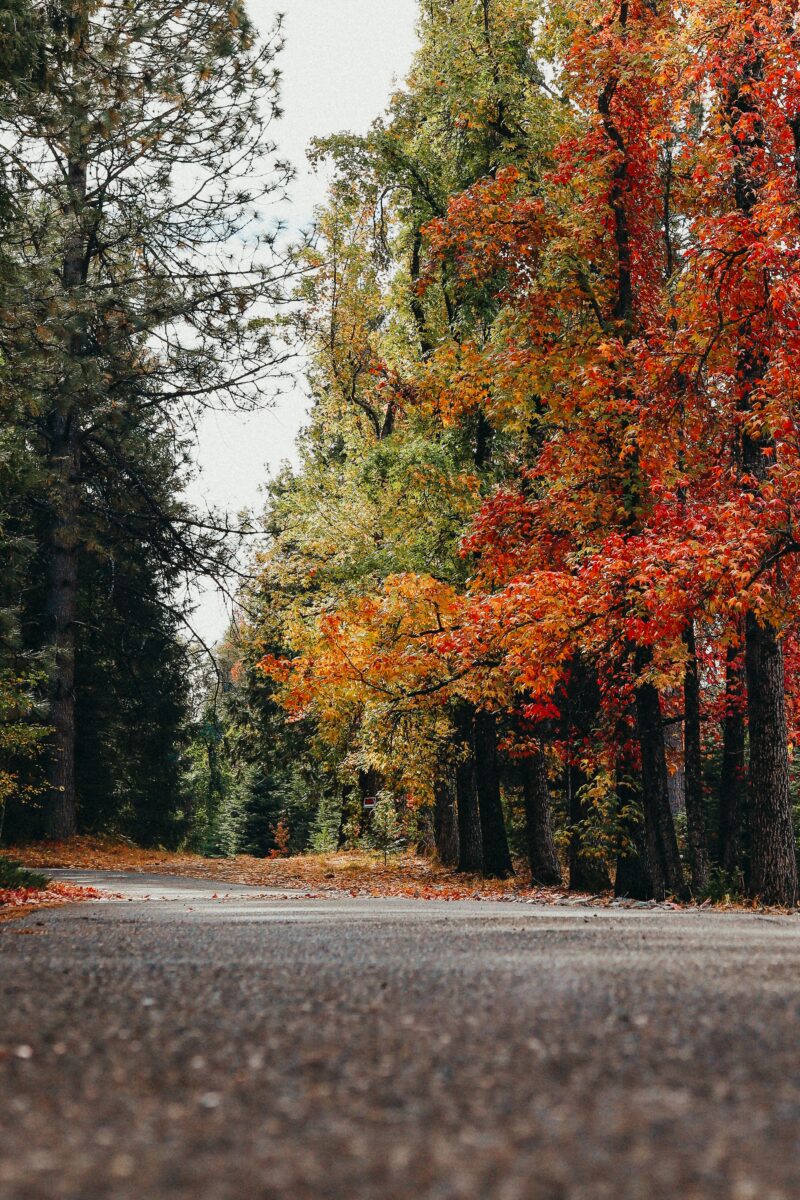 20 Best Small Towns in California to Visit in the Fall