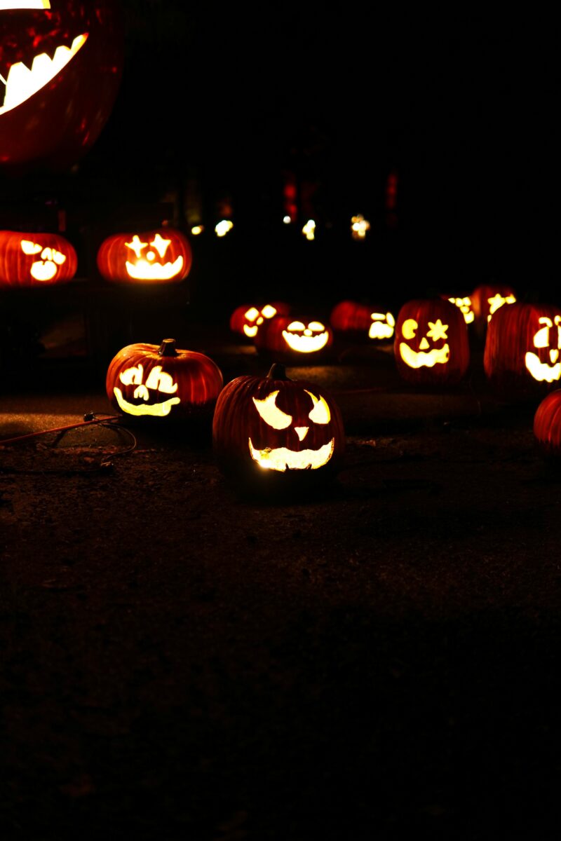 Best Halloween Events in California (2026 Guide)