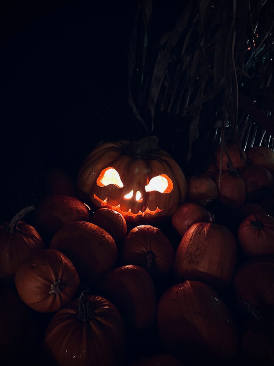 Best Halloween Events in California (2026 Guide)