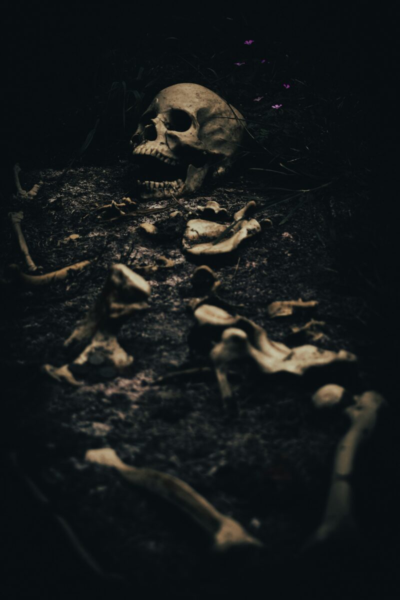 Best Halloween Events in California (2026 Guide)