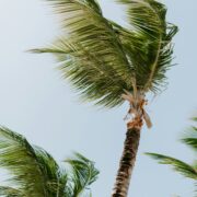 California Red Flag Warning Today: Parks, Closures & Travel Updates