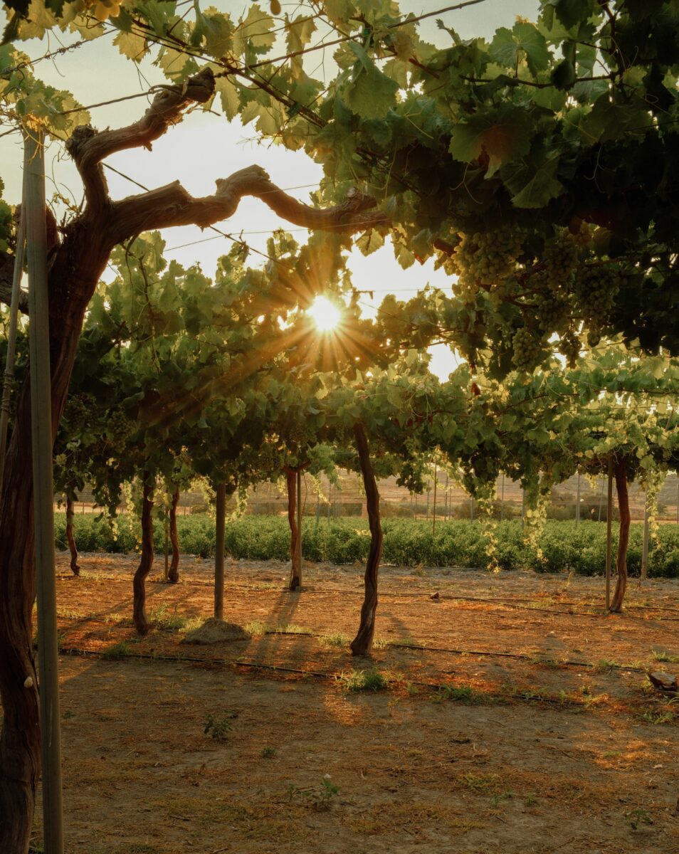 20 Best Small Towns in California to Visit in the Fall