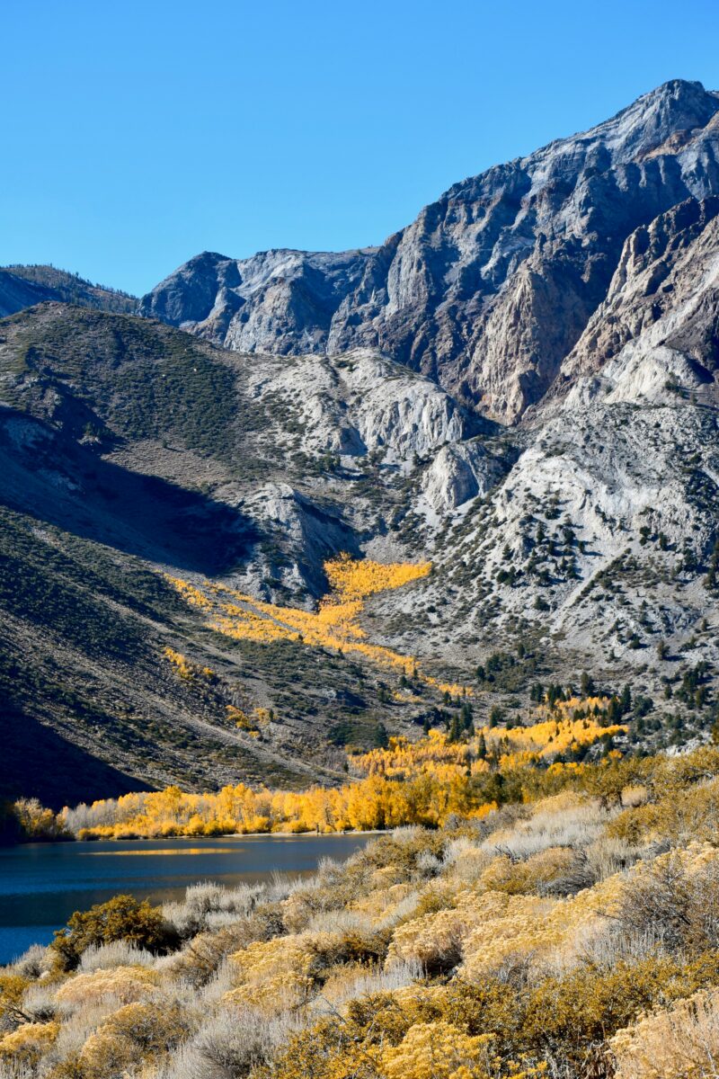 Highway 395 Fall Road Trip: Best Stops & Fall Colors